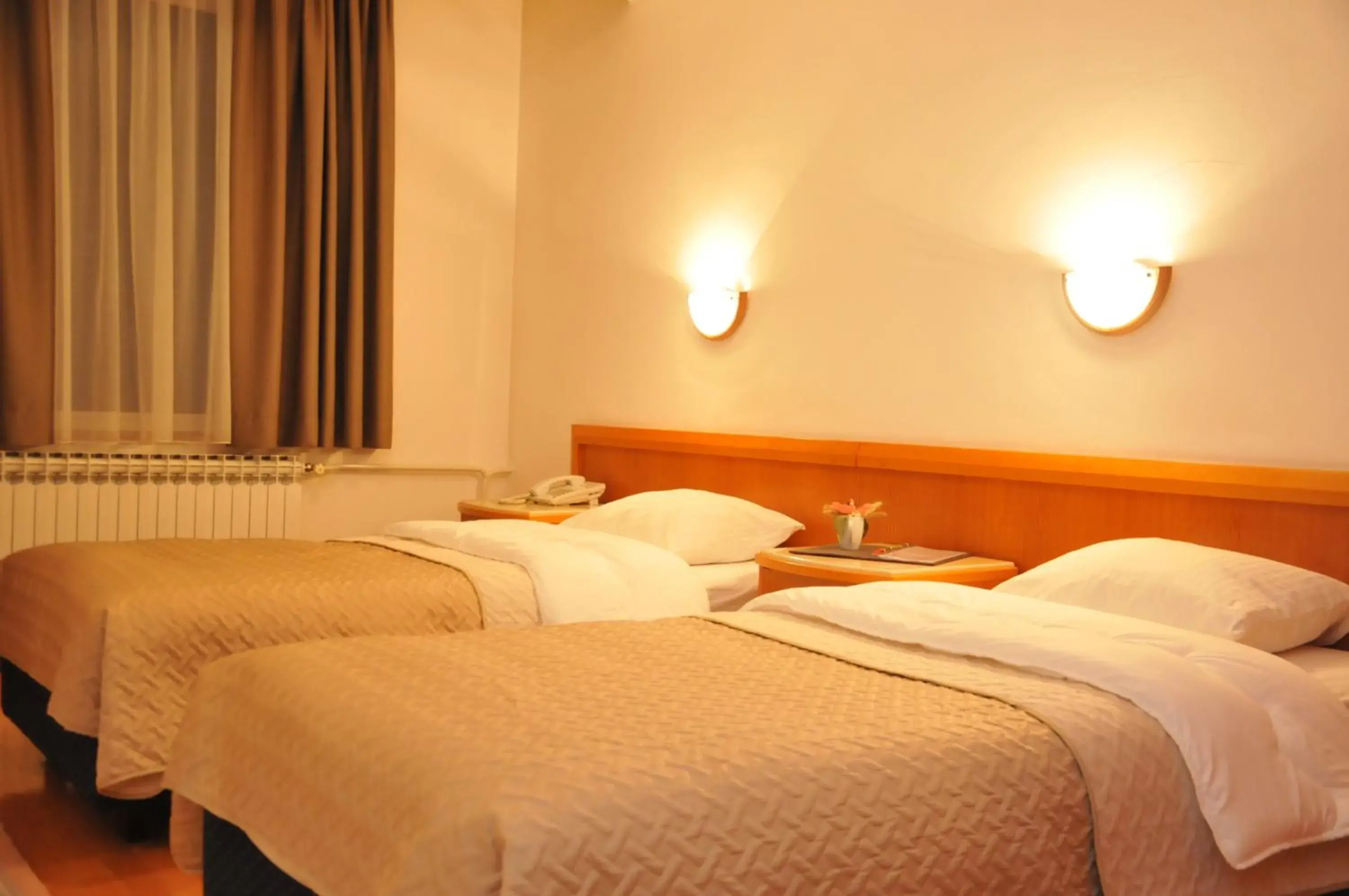 Twin Room in Hotel Terex Twin Room in Hotel Terex