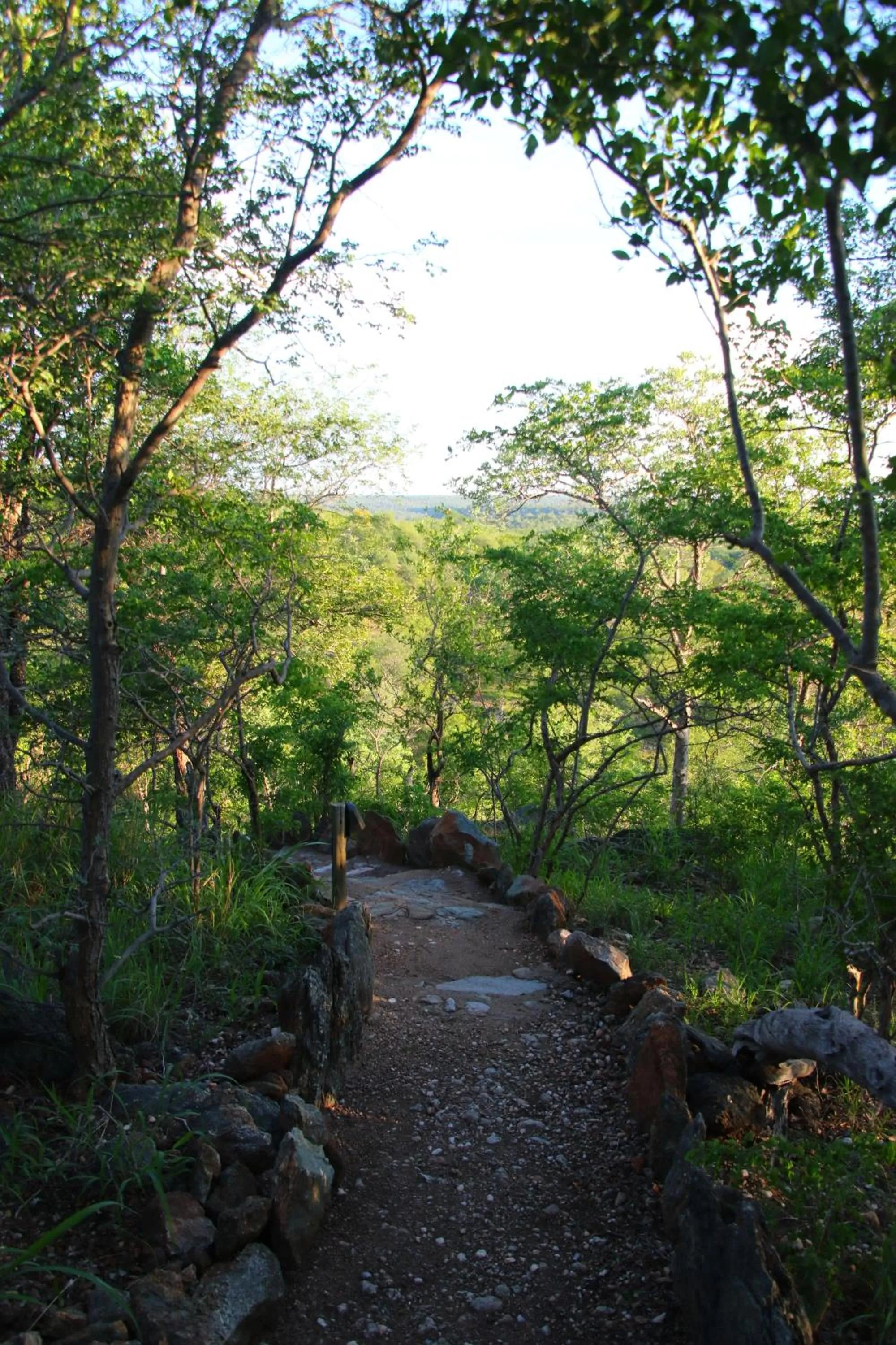Natural landscape in Parsons Hilltop Safari Camp