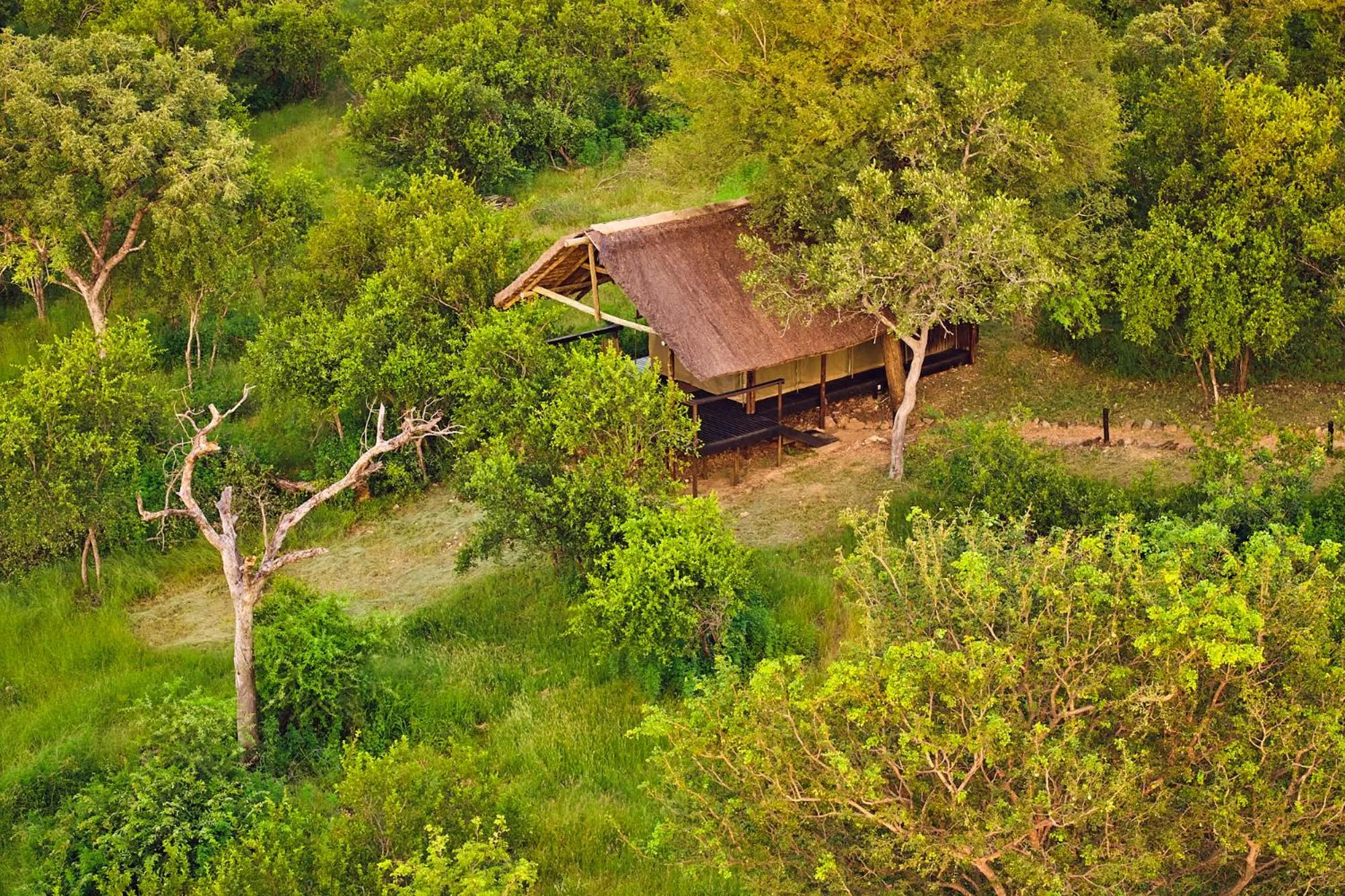 Bird's eye view in Parsons Hilltop Safari Camp