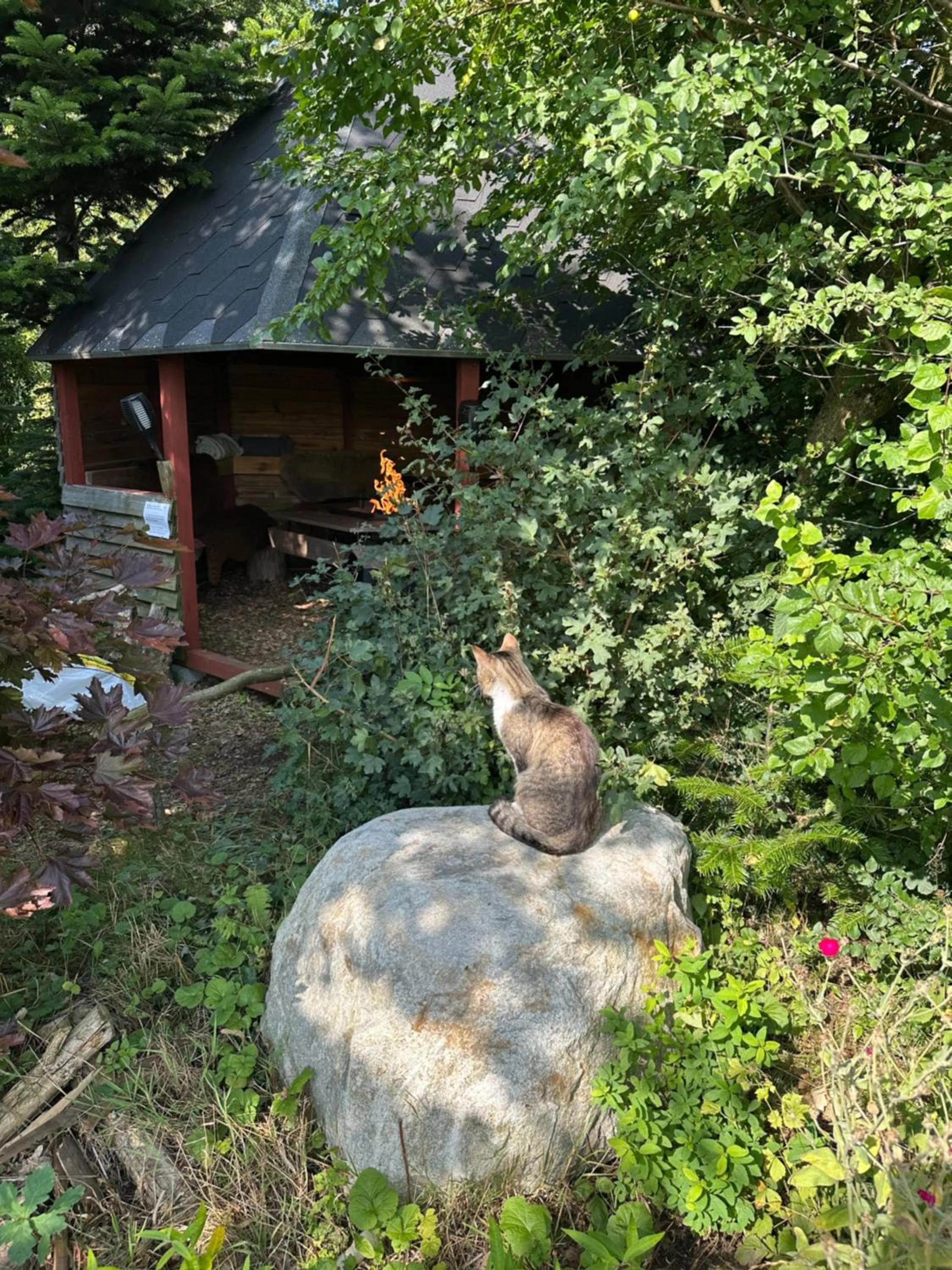 Lille Degnbøl Holiday House