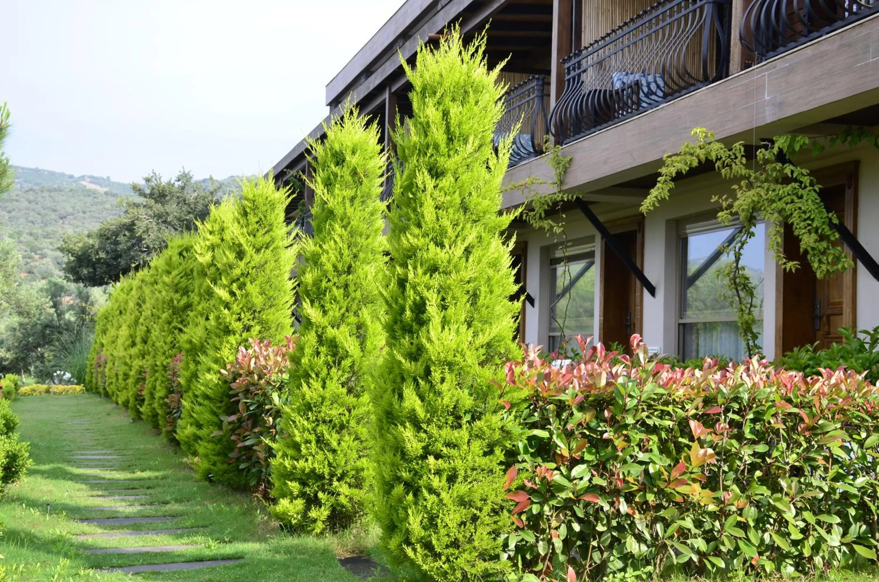 Garden in Assos Longevity Hotel