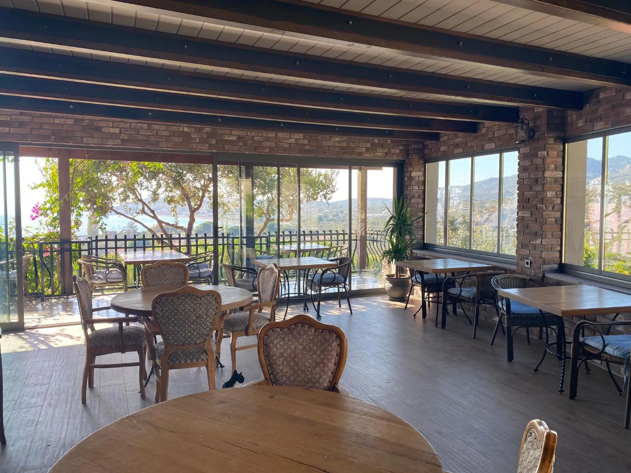 Restaurant/places to eat in Assos Longevity Hotel