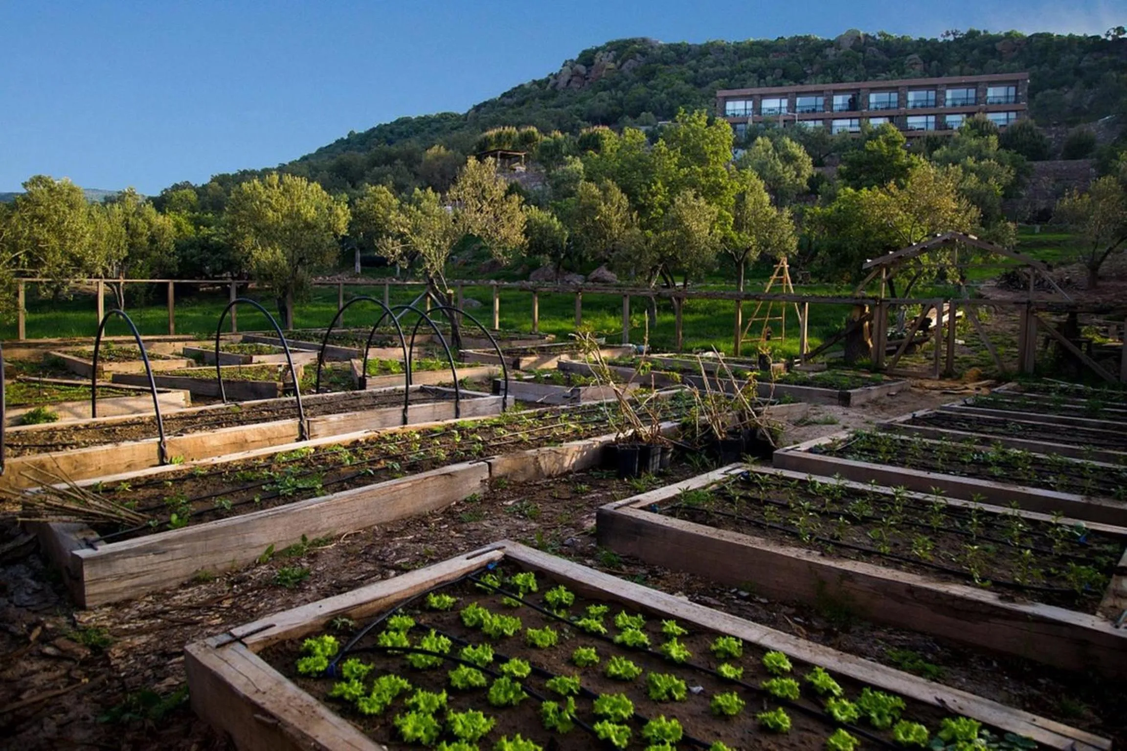Garden in Assos Longevity Hotel