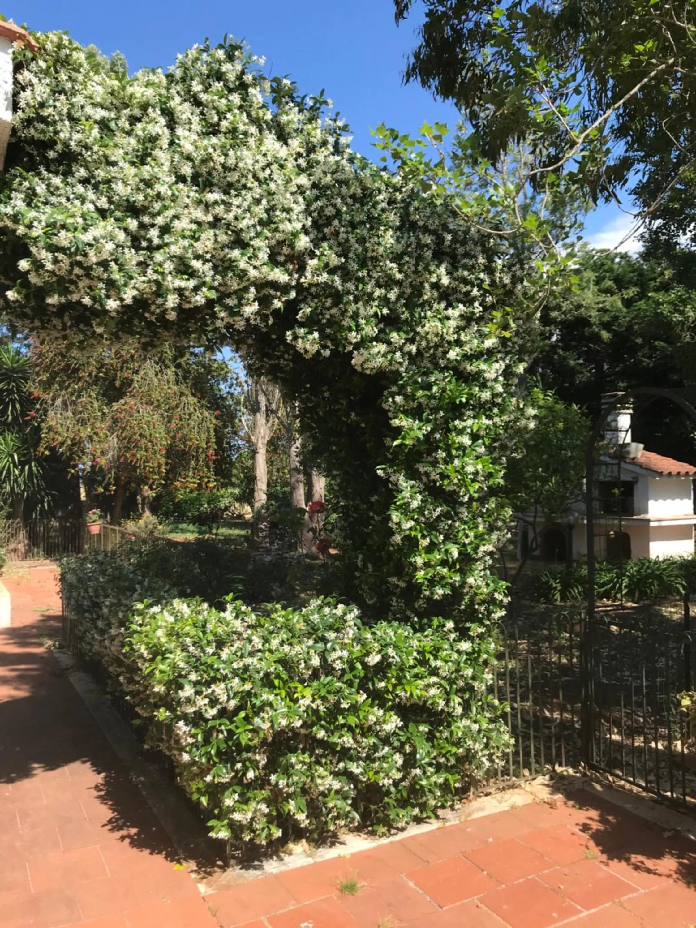 Garden in La casa di Sergio