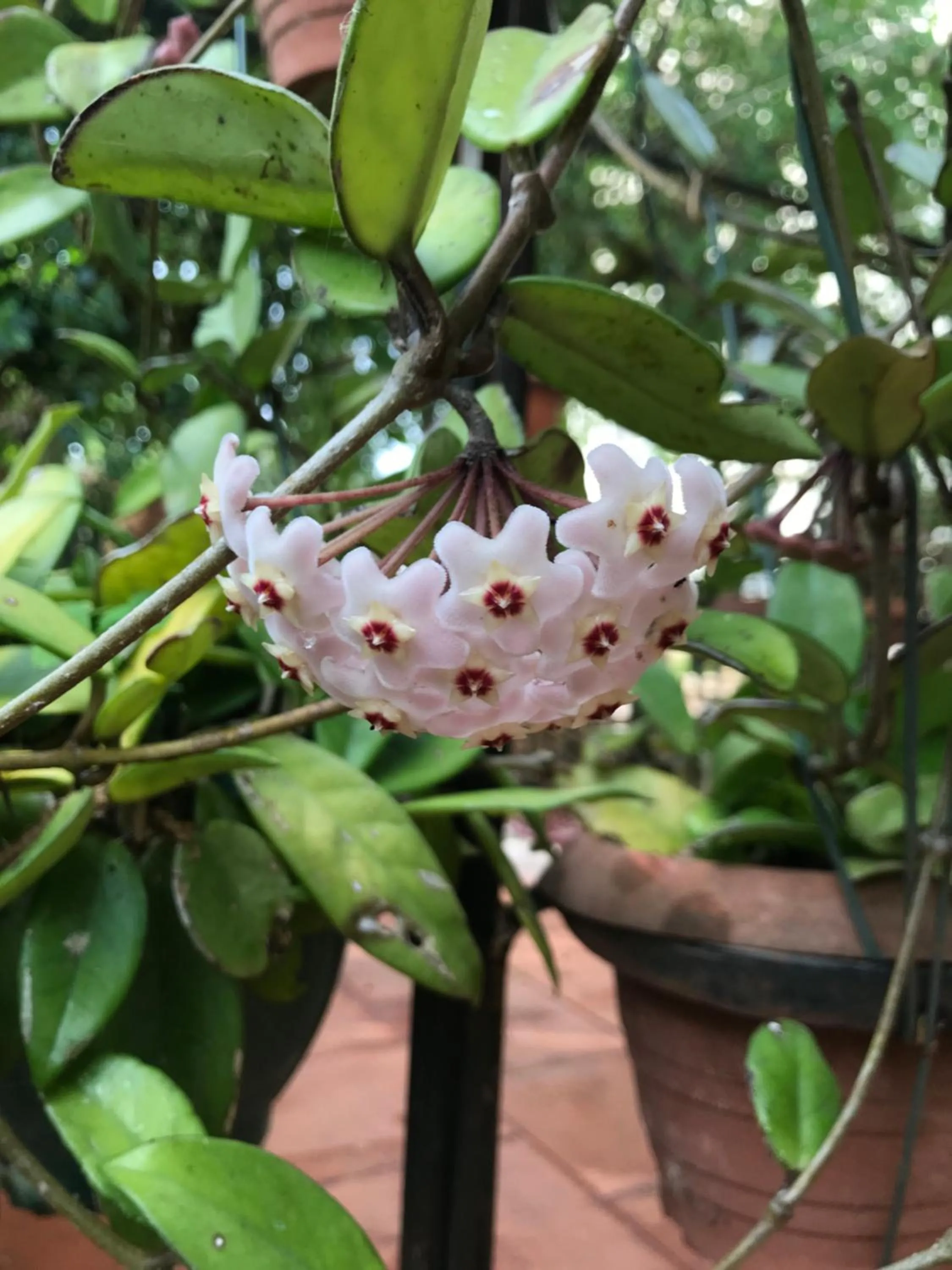 Summer in La casa di Sergio