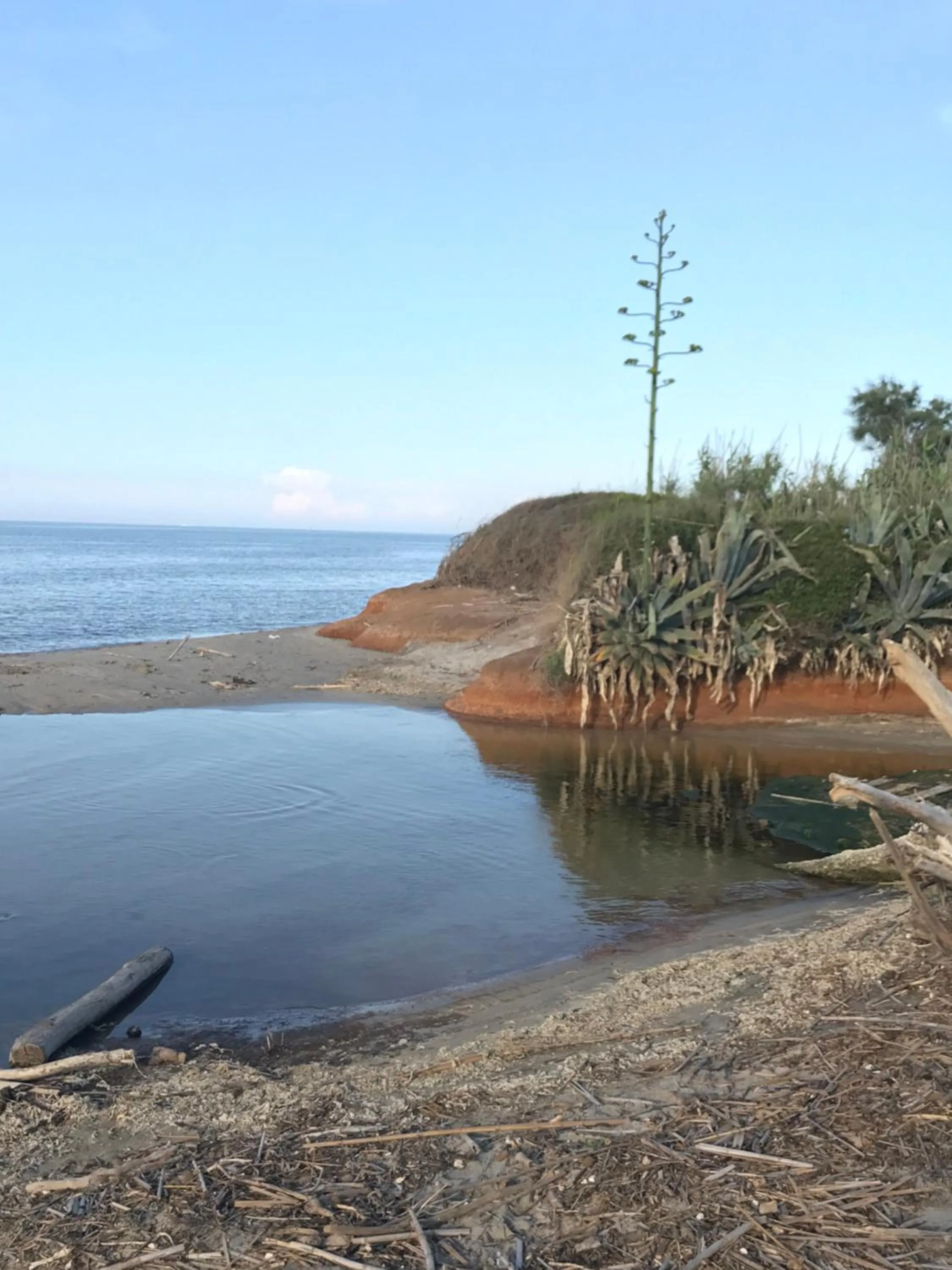 Other in La casa di Sergio