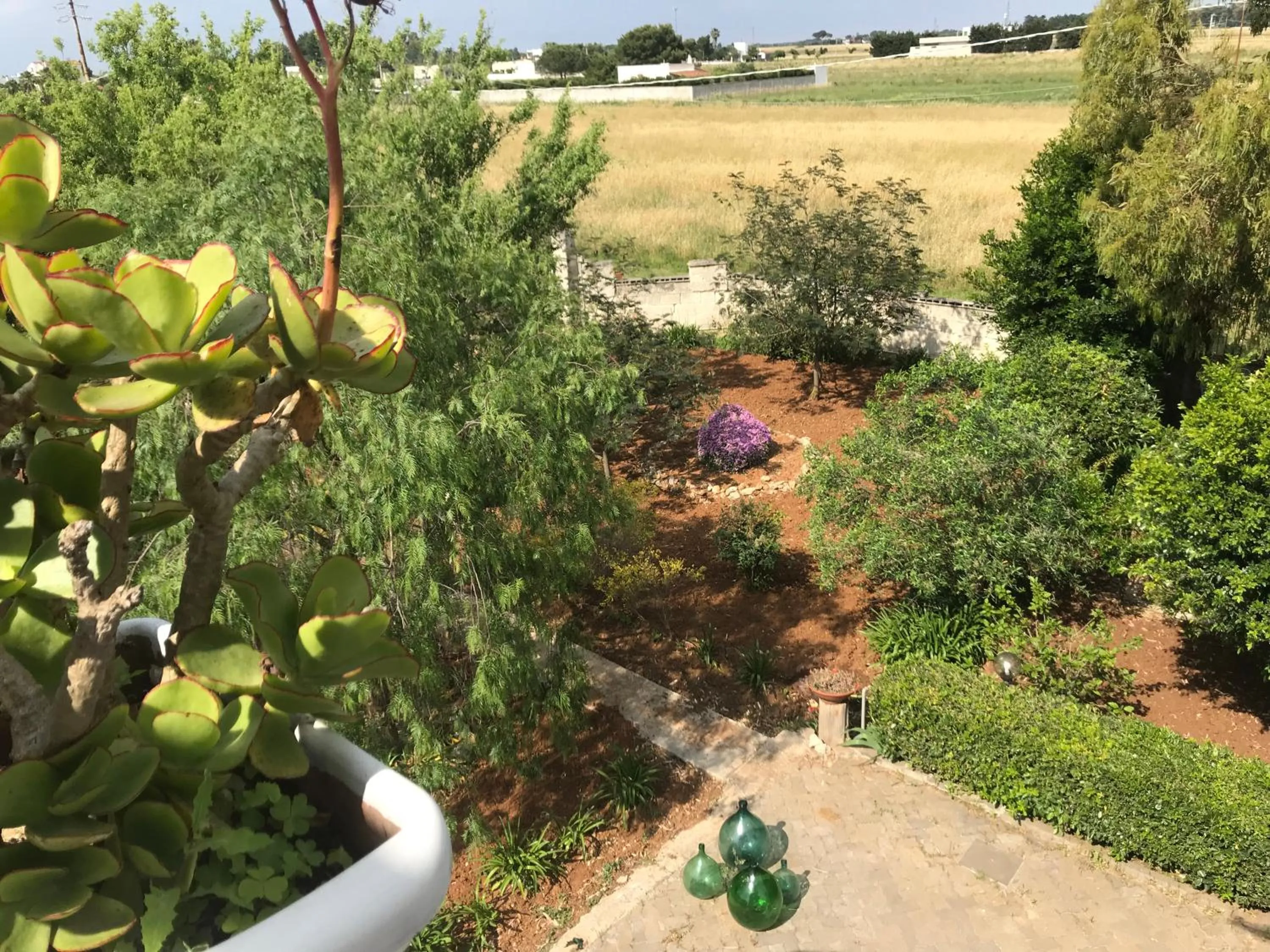 Garden in La casa di Sergio