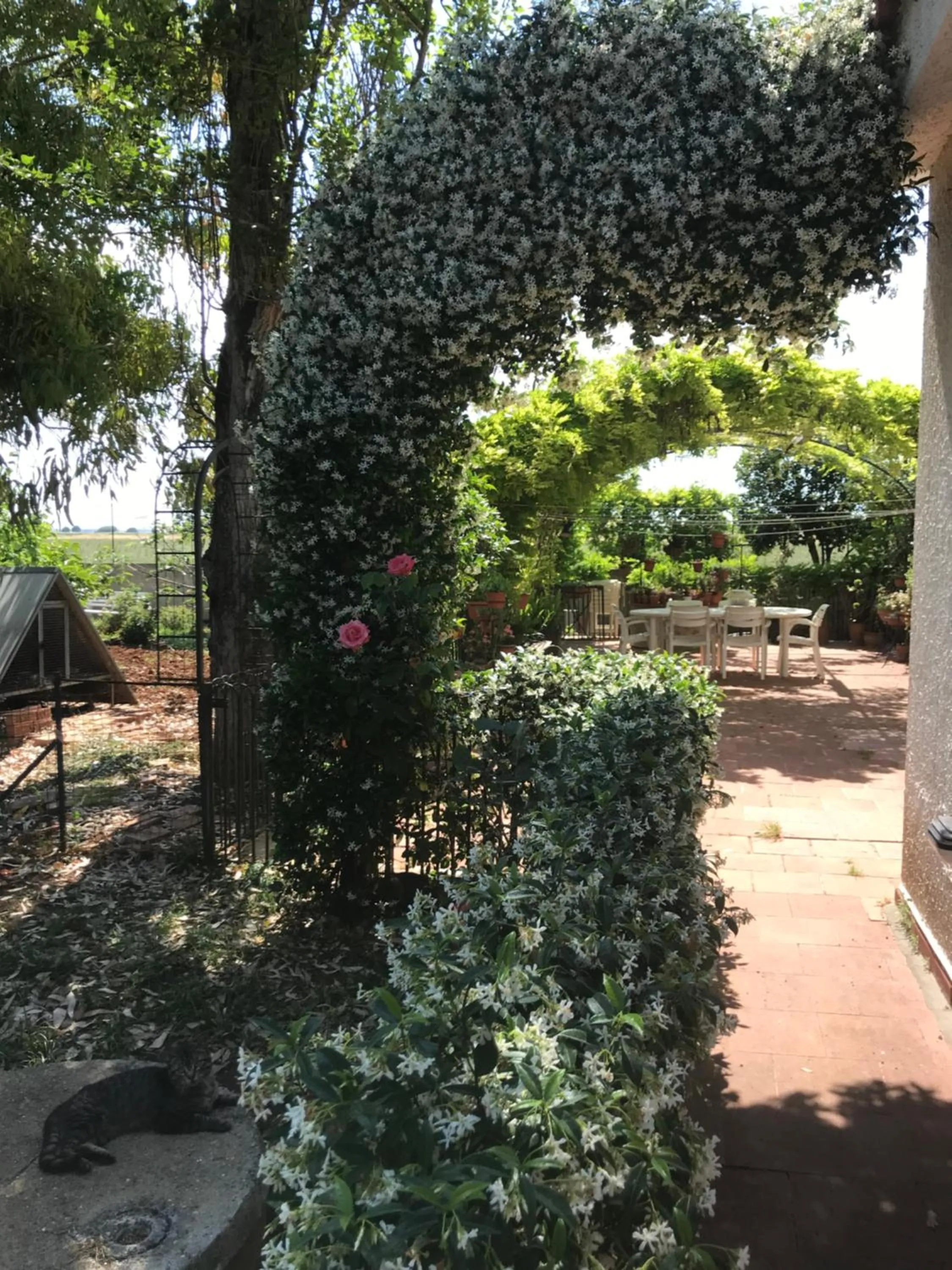 Garden in La casa di Sergio