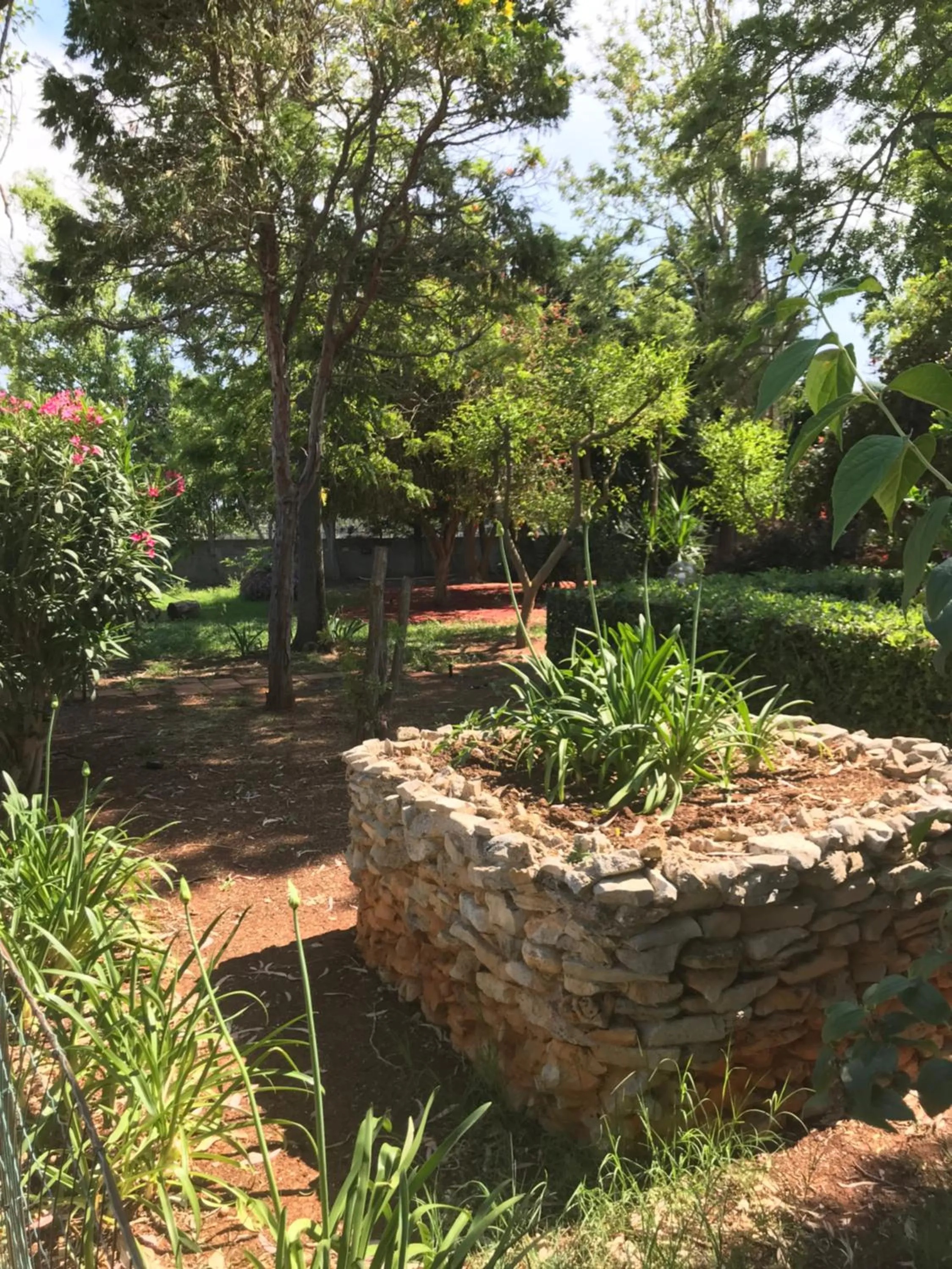 Garden in La casa di Sergio