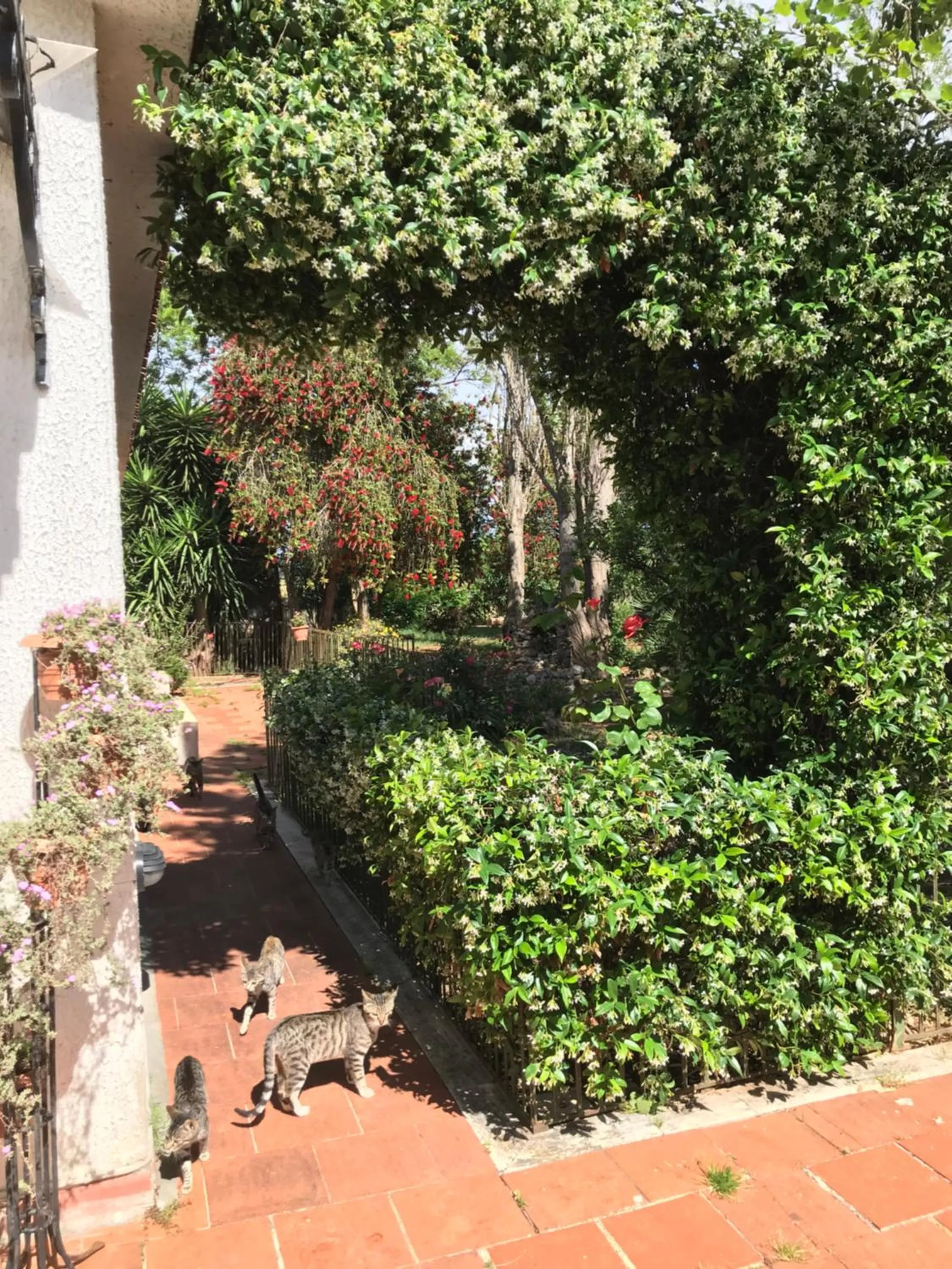 Garden in La casa di Sergio