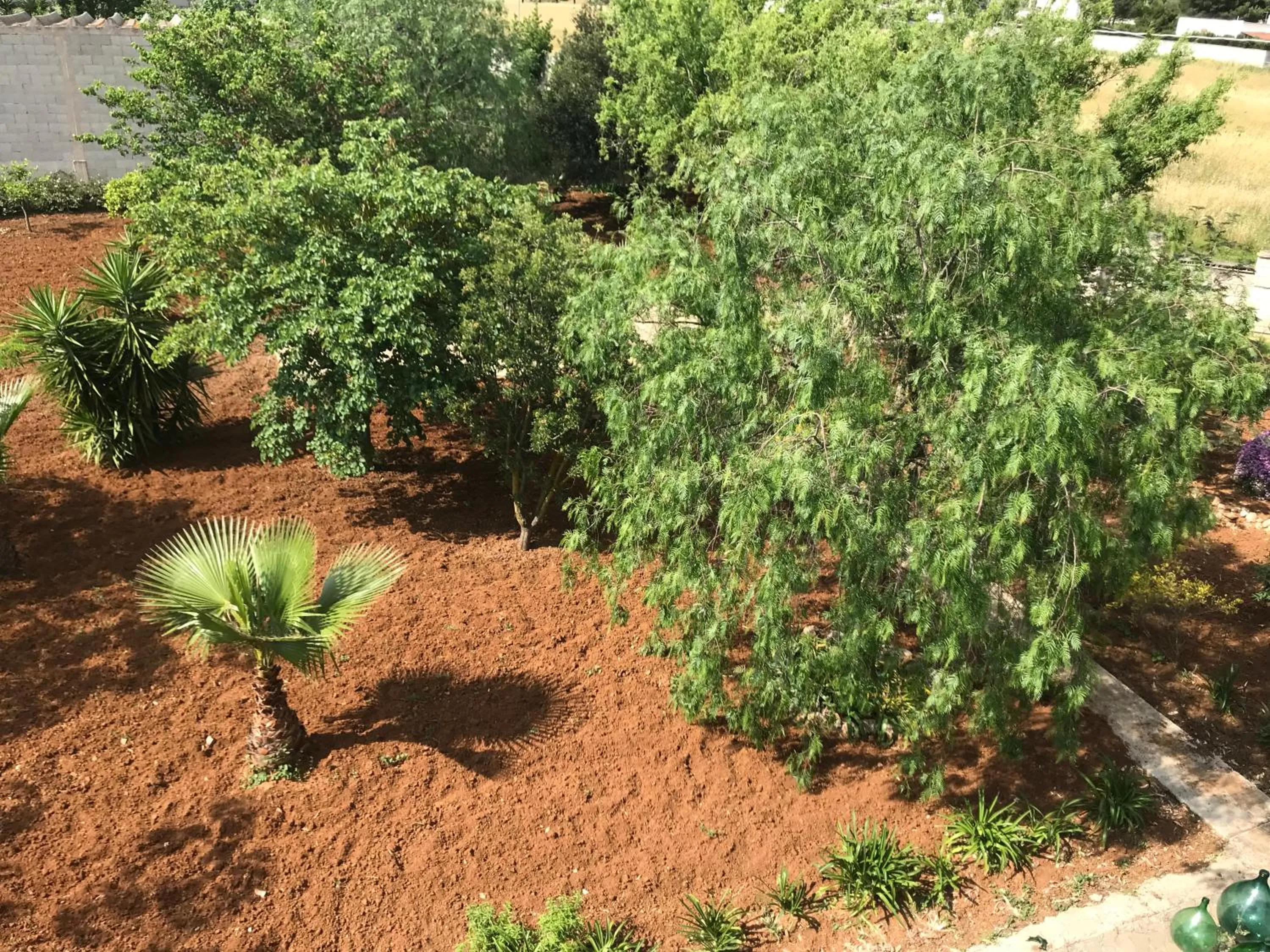 Garden in La casa di Sergio
