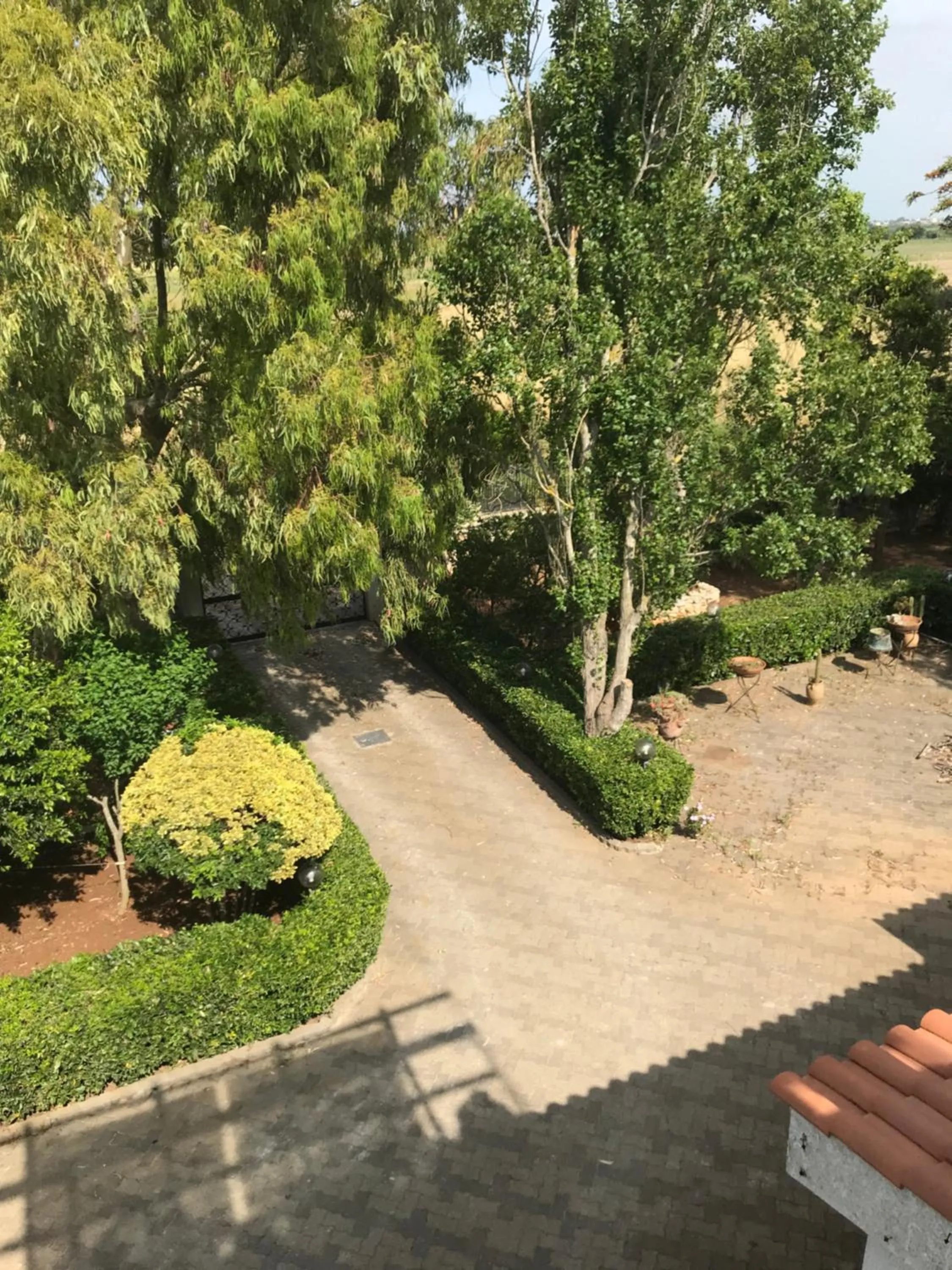 Garden in La casa di Sergio