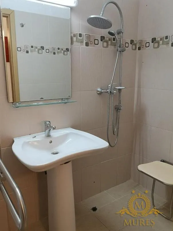 Hotel Mures