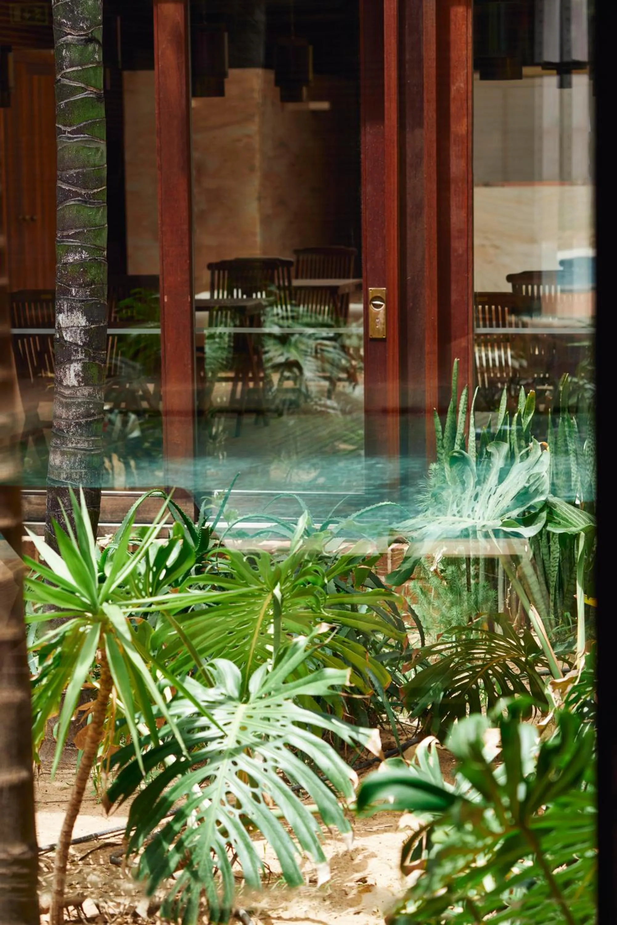 Spa and wellness centre/facilities in Hotel Porto Santo & Spa