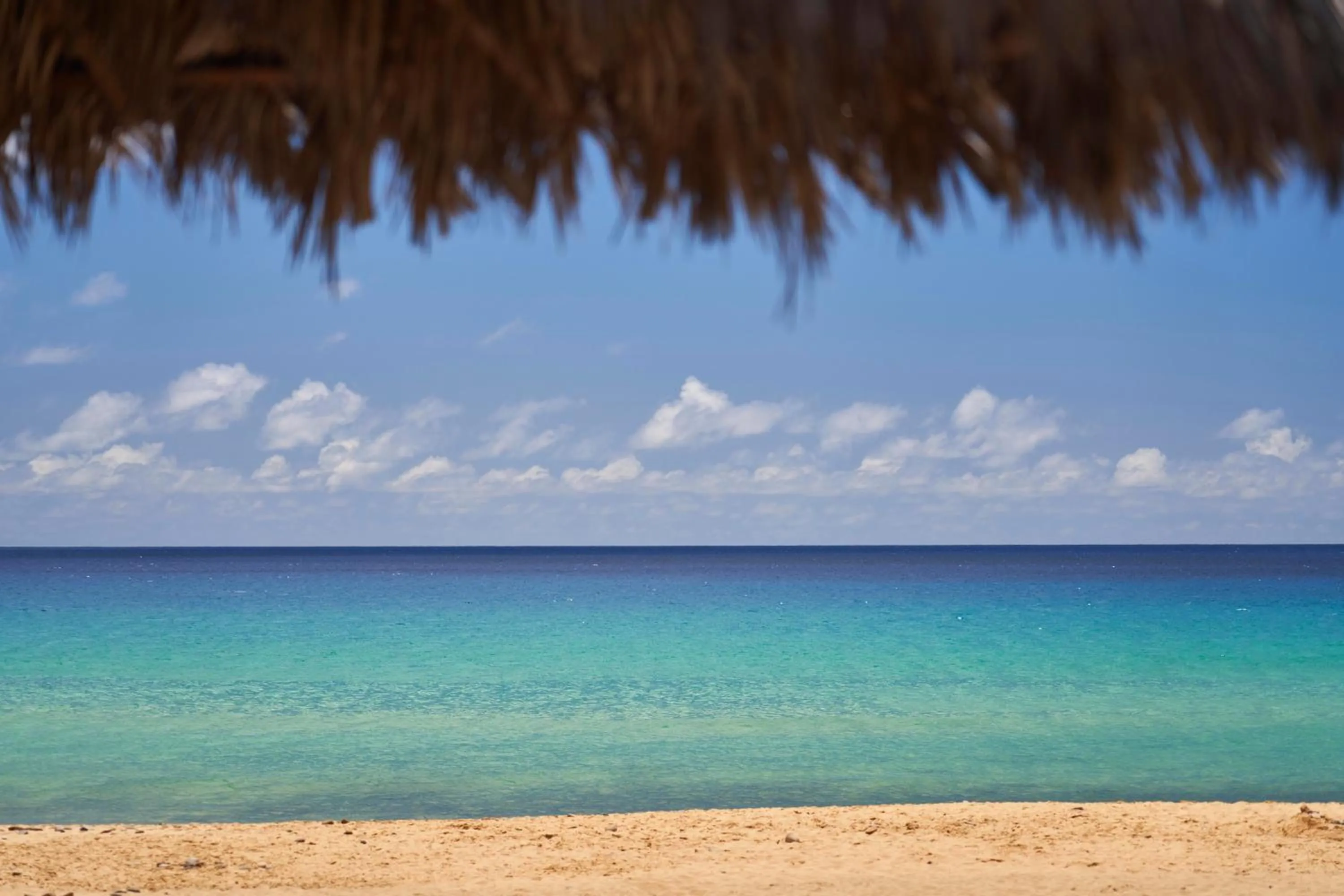 Beach in Hotel Porto Santo & Spa