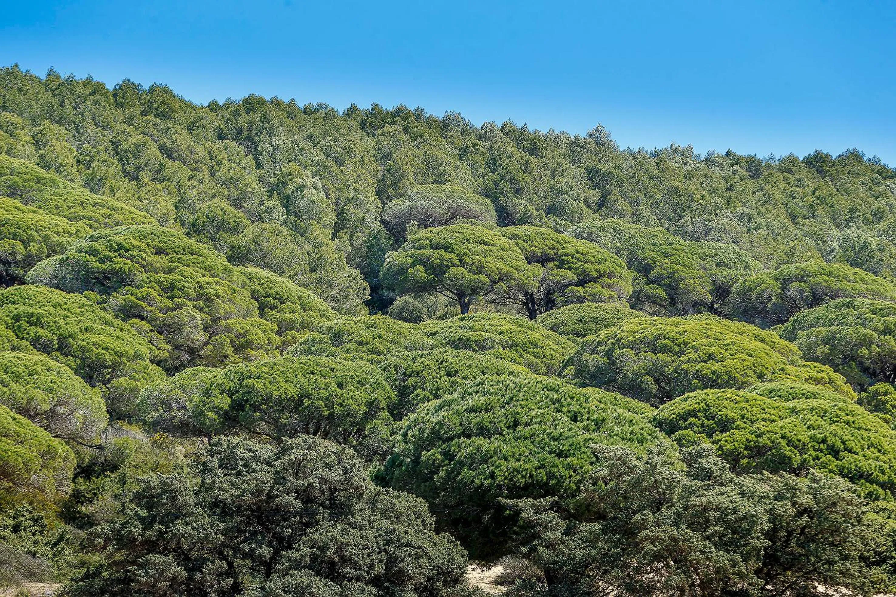 Nearby landmark in Labreña Hotel
