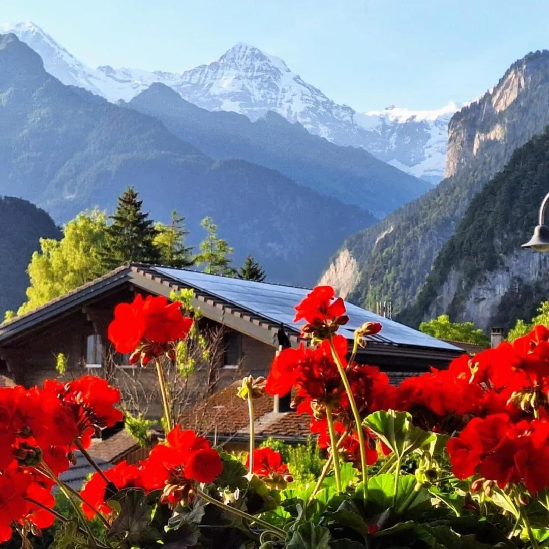 Garden view in Chalet Gafri -Boutique B&B - comfort and hospitality - near Interlaken