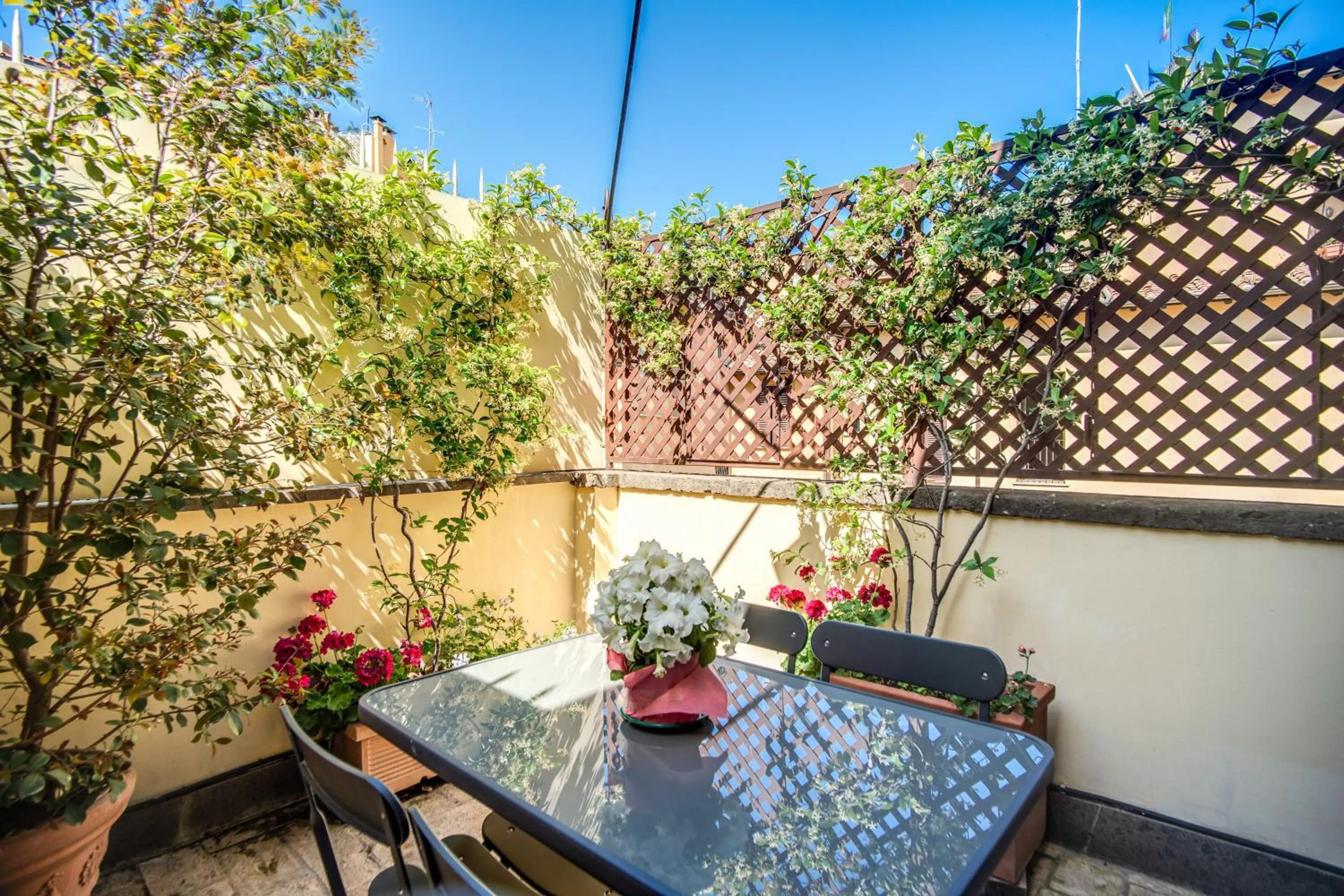 Trevi's Roof Terraces
