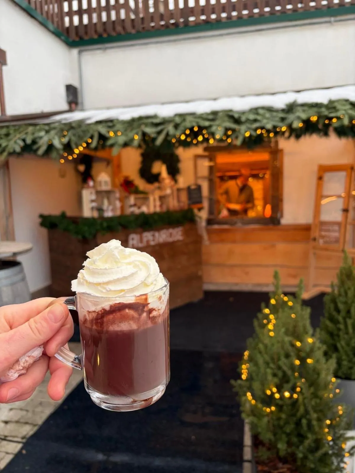 Balcony/Terrace in Hotel Alpenrose