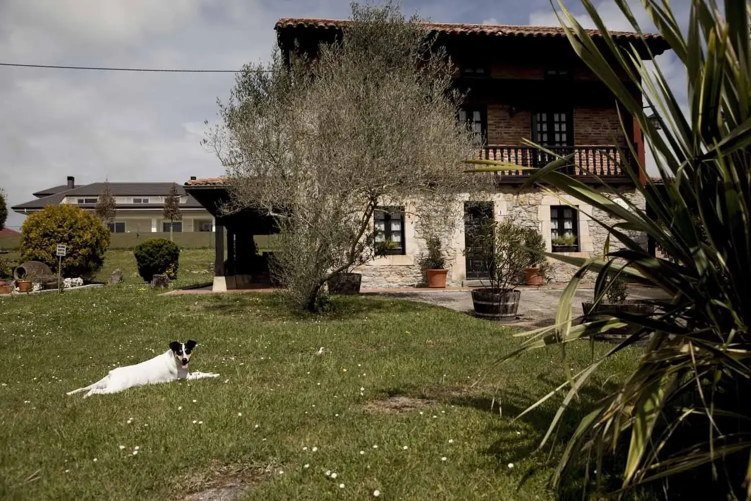 Property building in Apartamentos La Gloria Property building in Apartamentos La Gloria