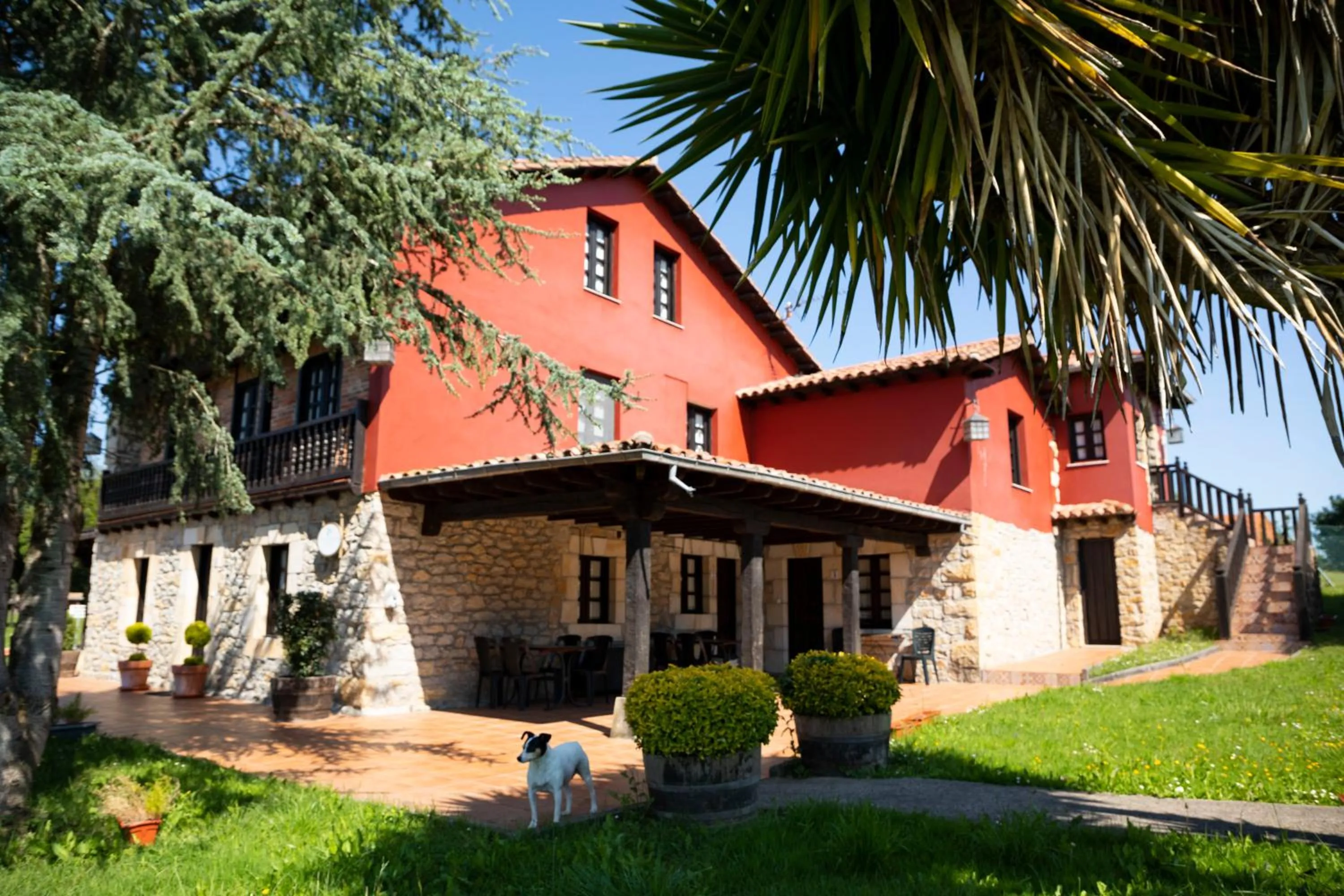 Studio in Apartamentos La Gloria