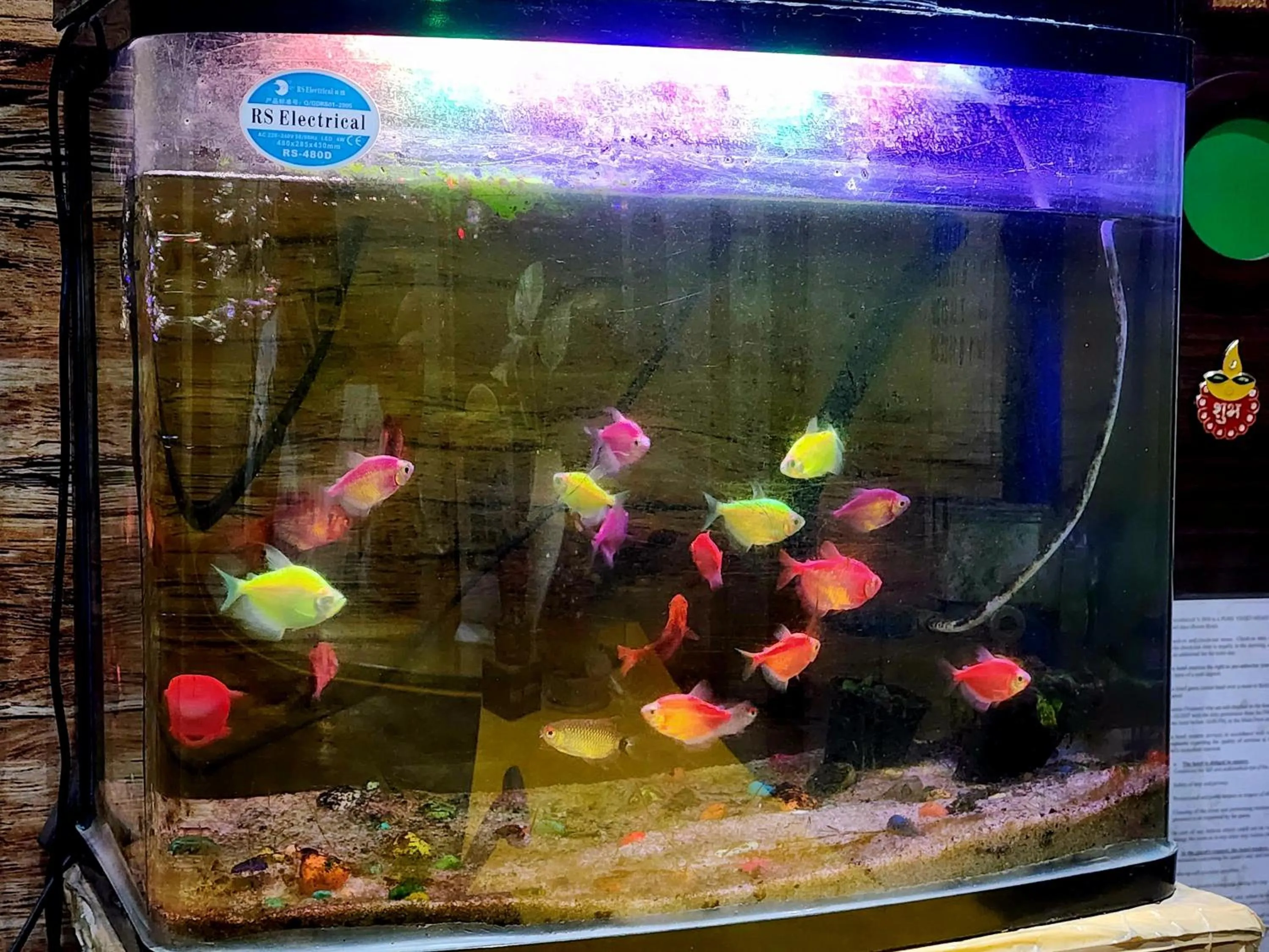 Lobby or reception in Bhammar's Inn - A Pure Veg