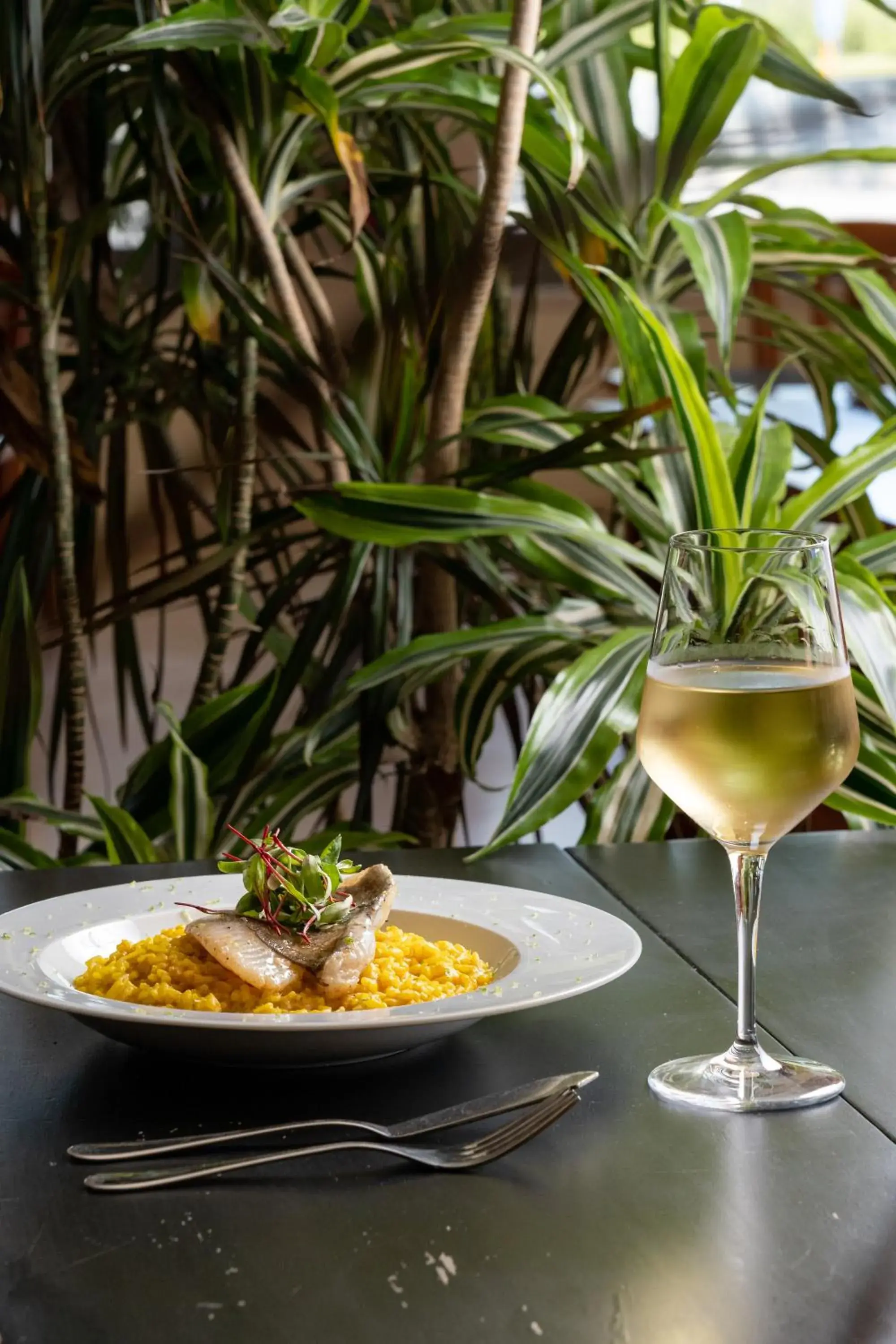 Food and drinks in VILA PARK Nature & Business Hotel Food and drinks in VILA PARK Nature & Business Hotel