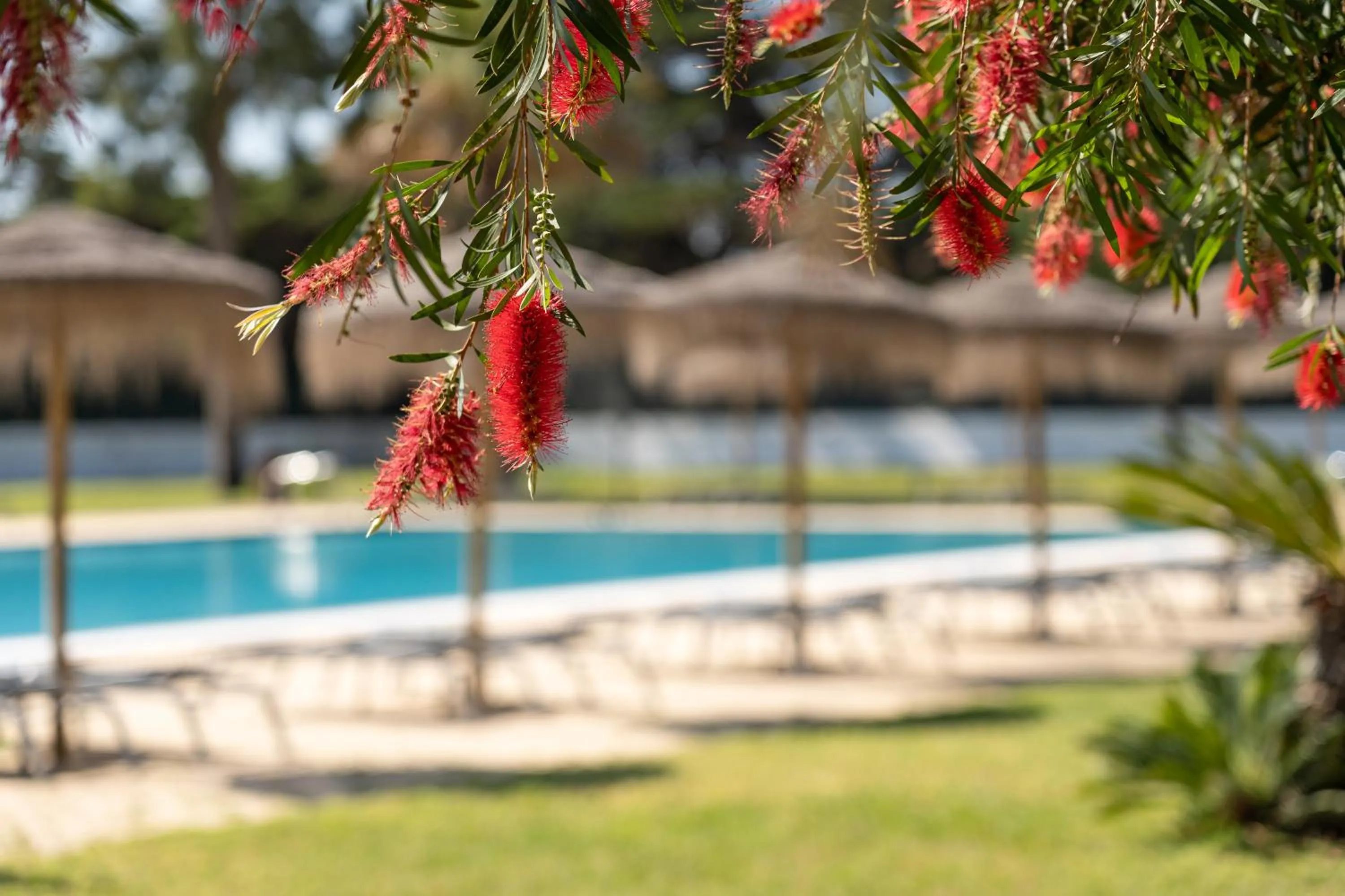 Spring in VILA PARK Nature & Business Hotel