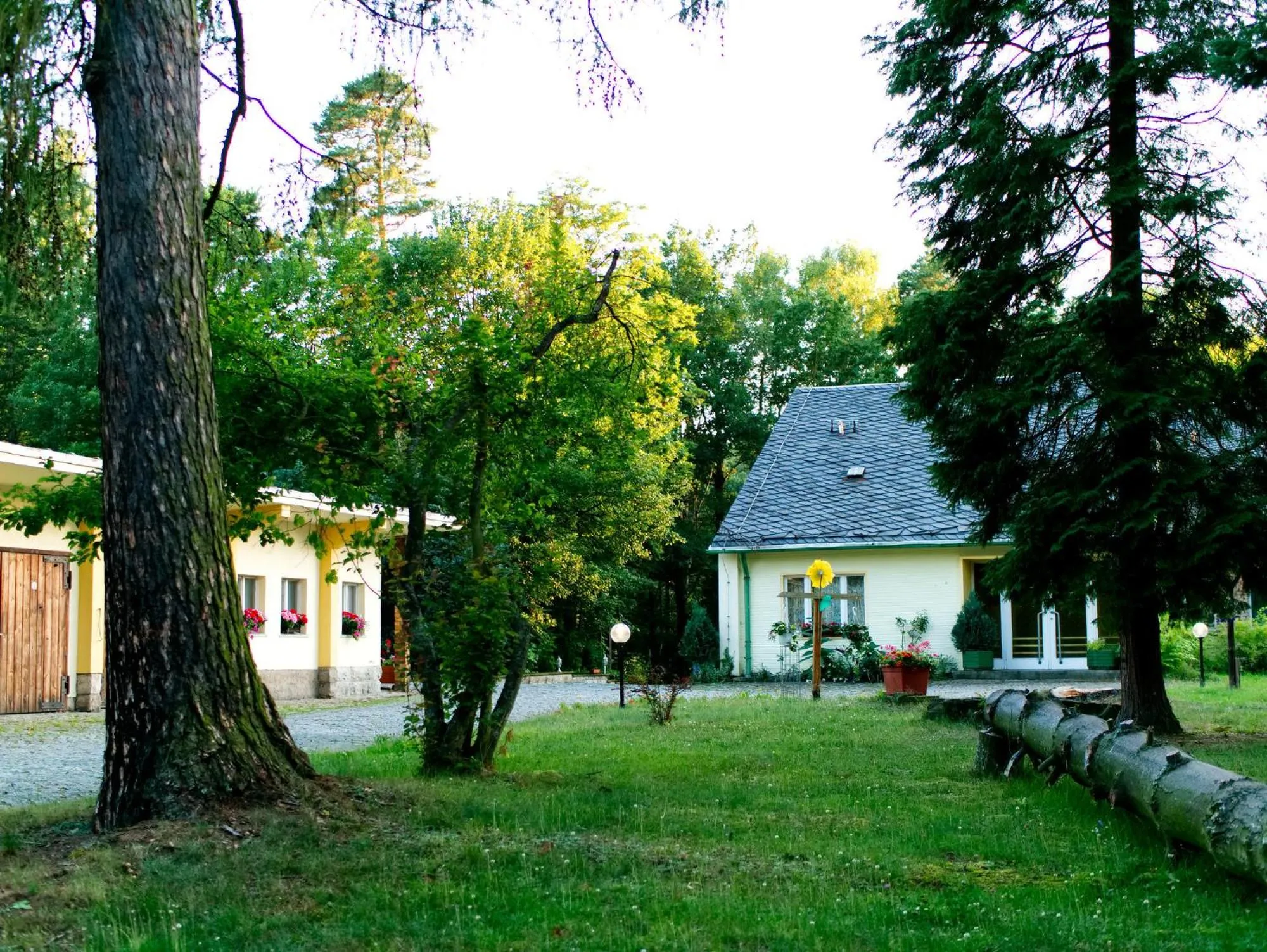 Patio in Hotel Albrechtshof Gohrisch