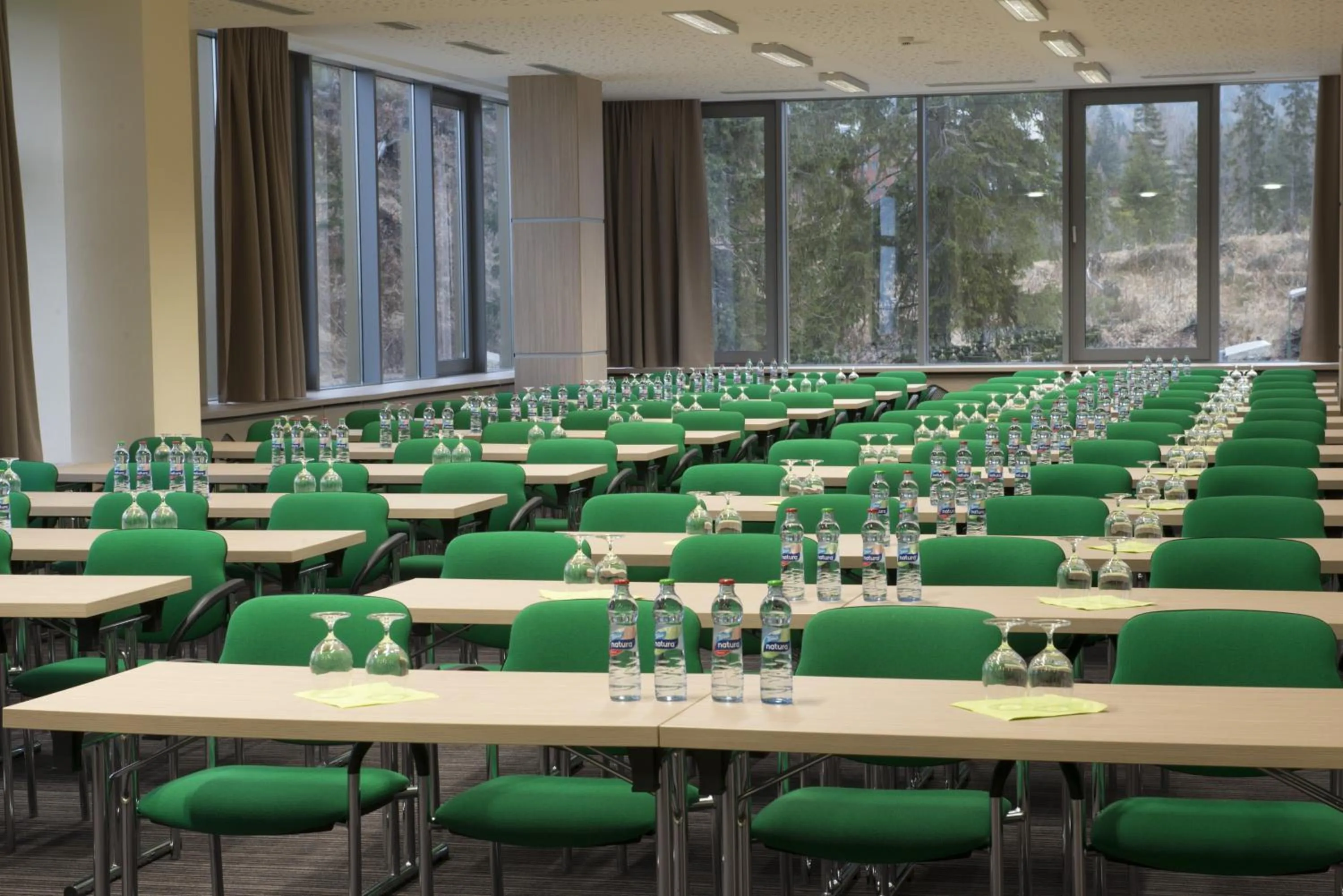 Business facilities in Hotel SOREA TRIGAN