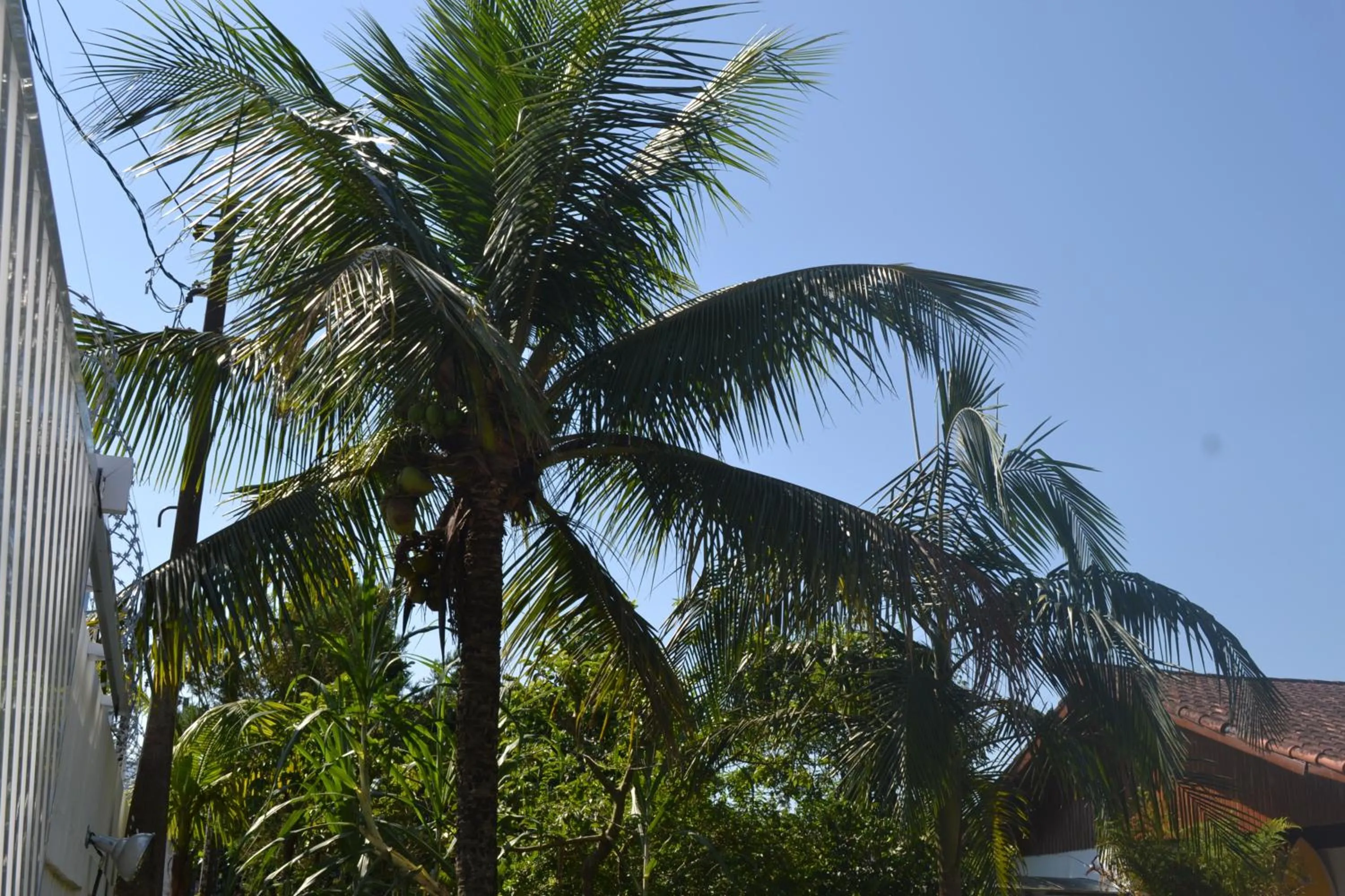 Garden view in Pousada Recanto da Praia