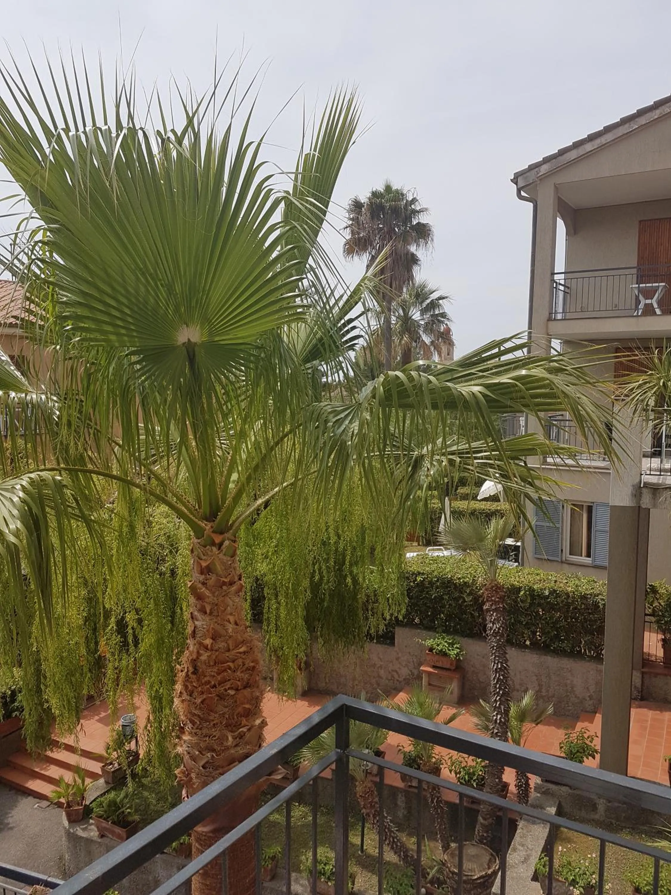 Inner courtyard view in Residence La Meridiana
