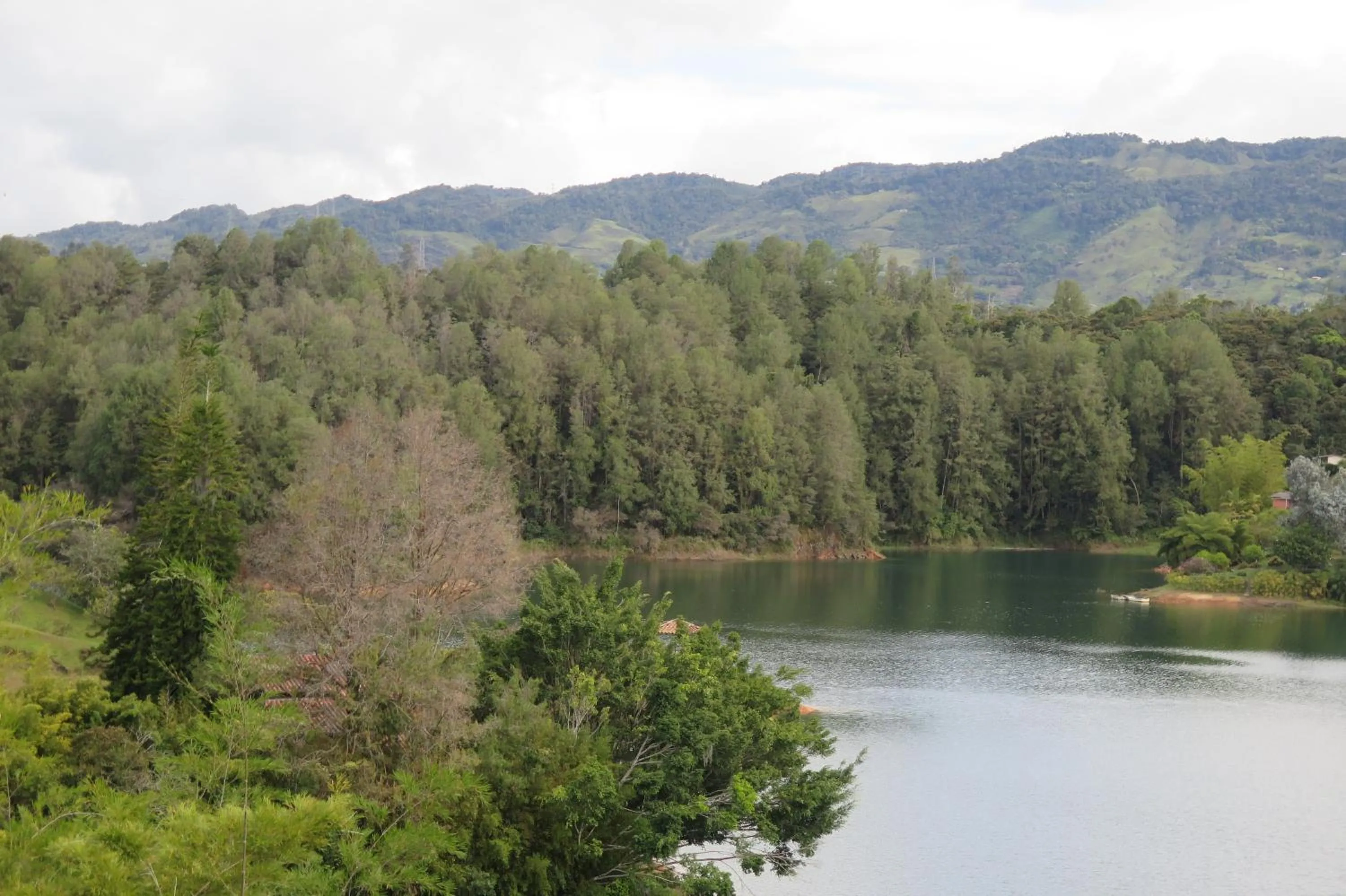 Natural landscape in Ecolodge Bahia del Peñón