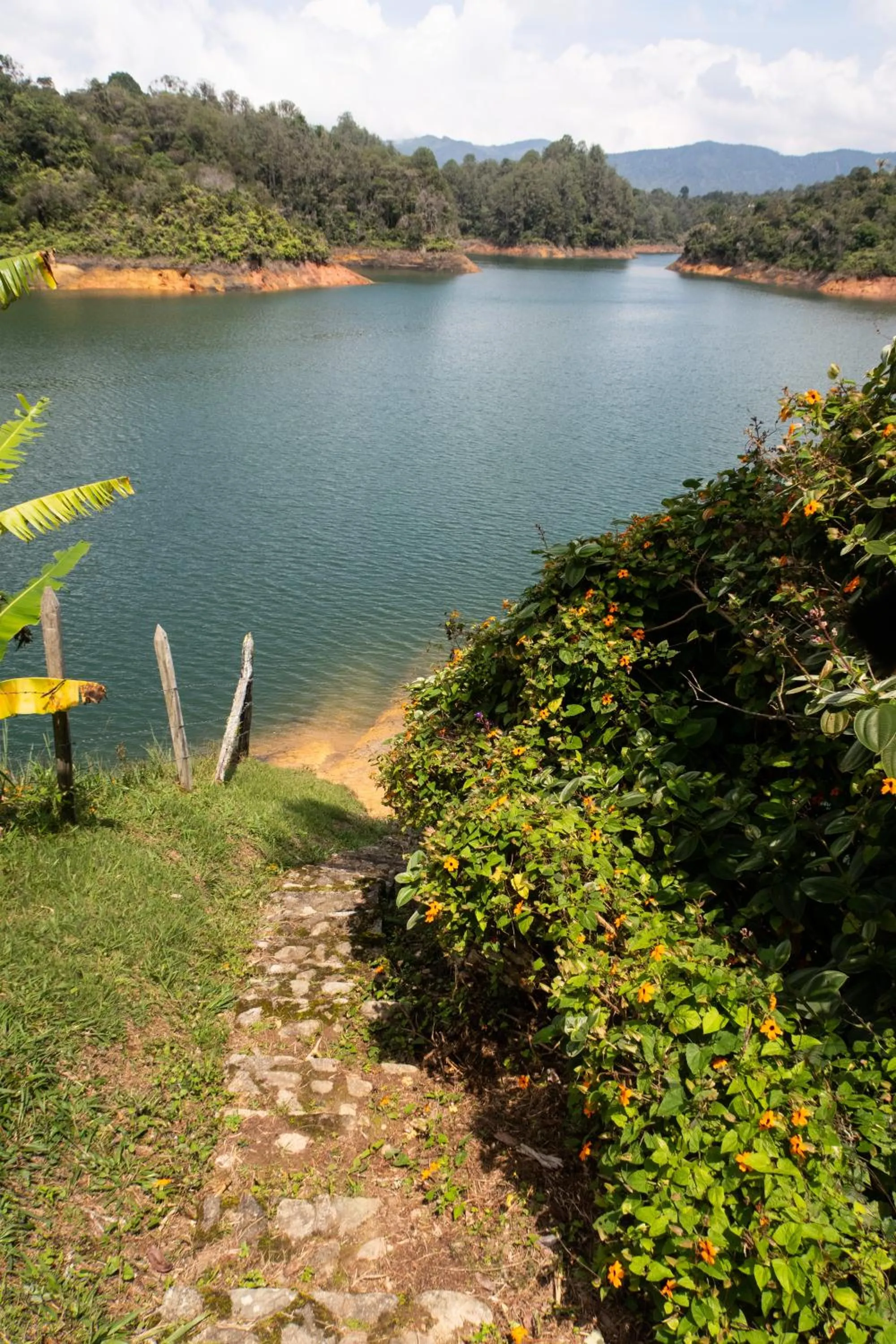 Natural landscape in Ecolodge Bahia del Peñón