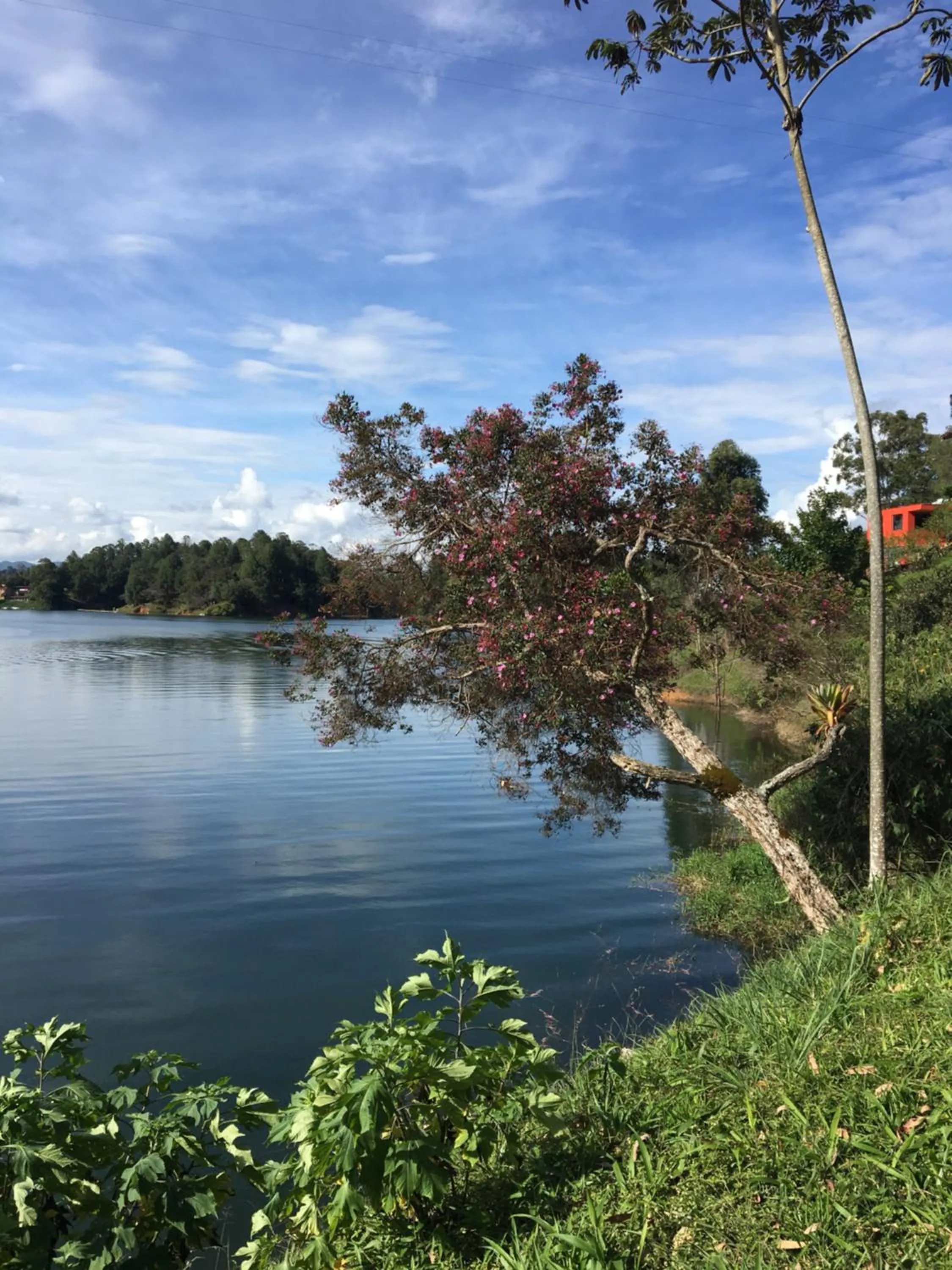 Lake view in Ecolodge Bahia del Peñón