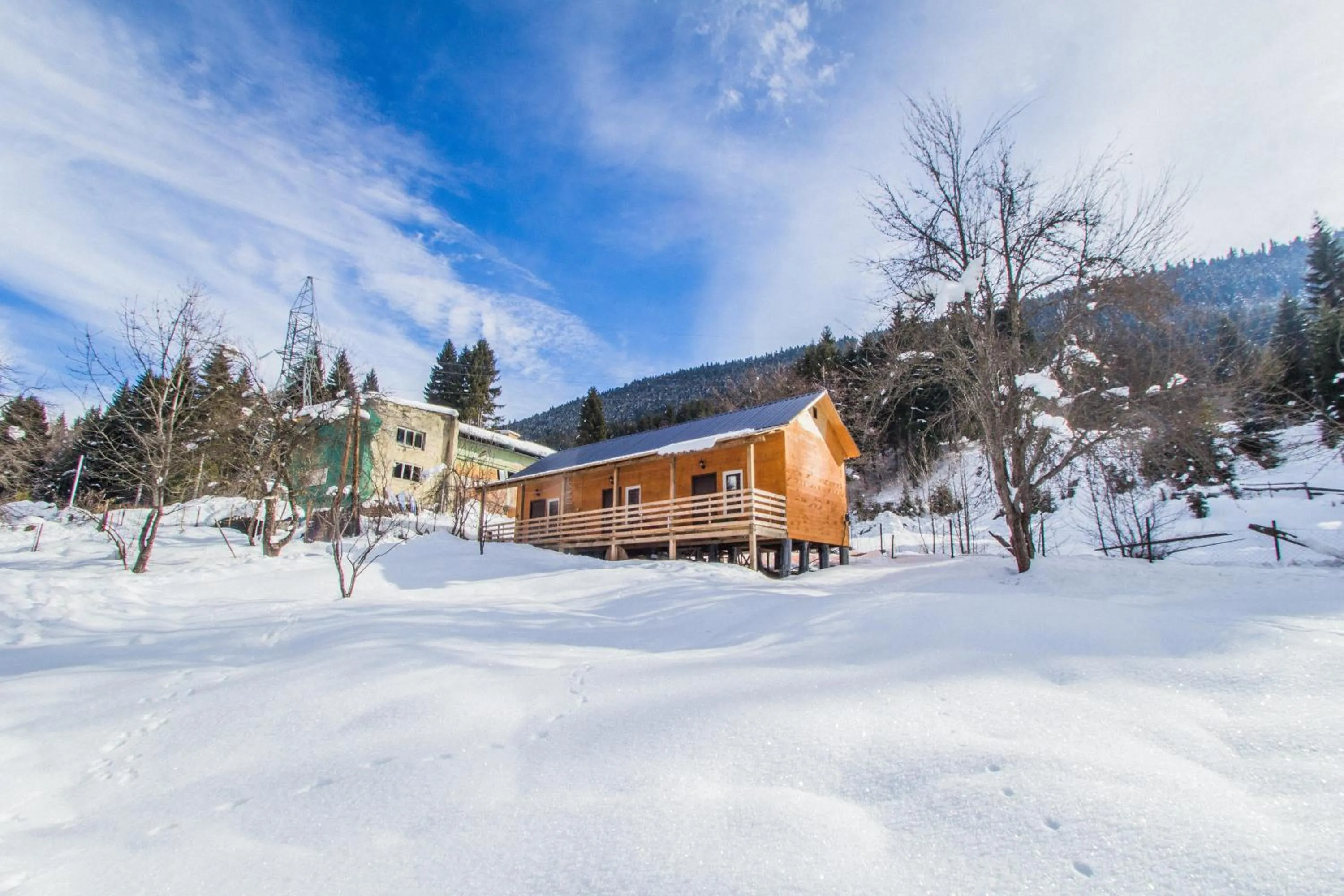 Cottage Shgedi