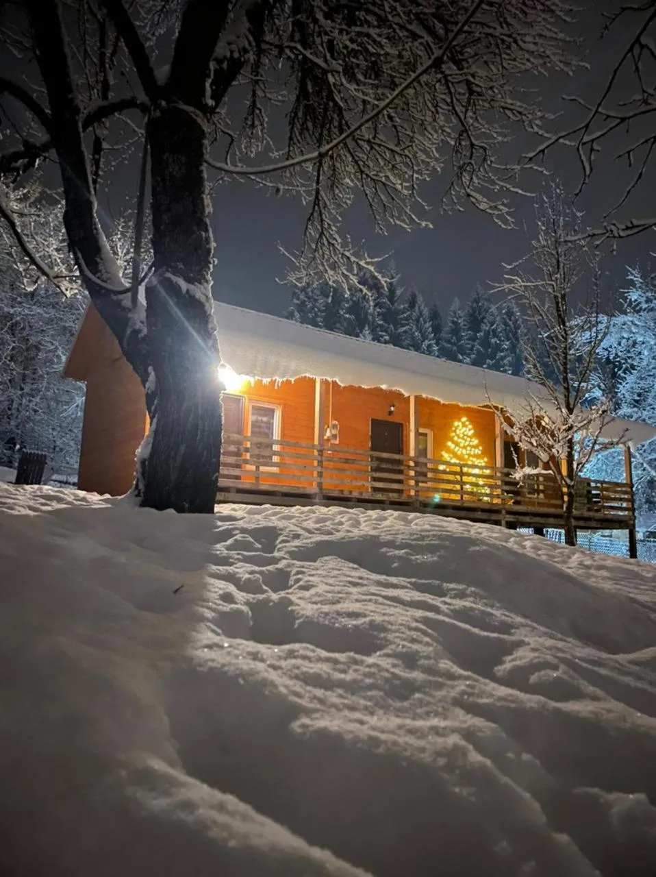 Cottage Shgedi