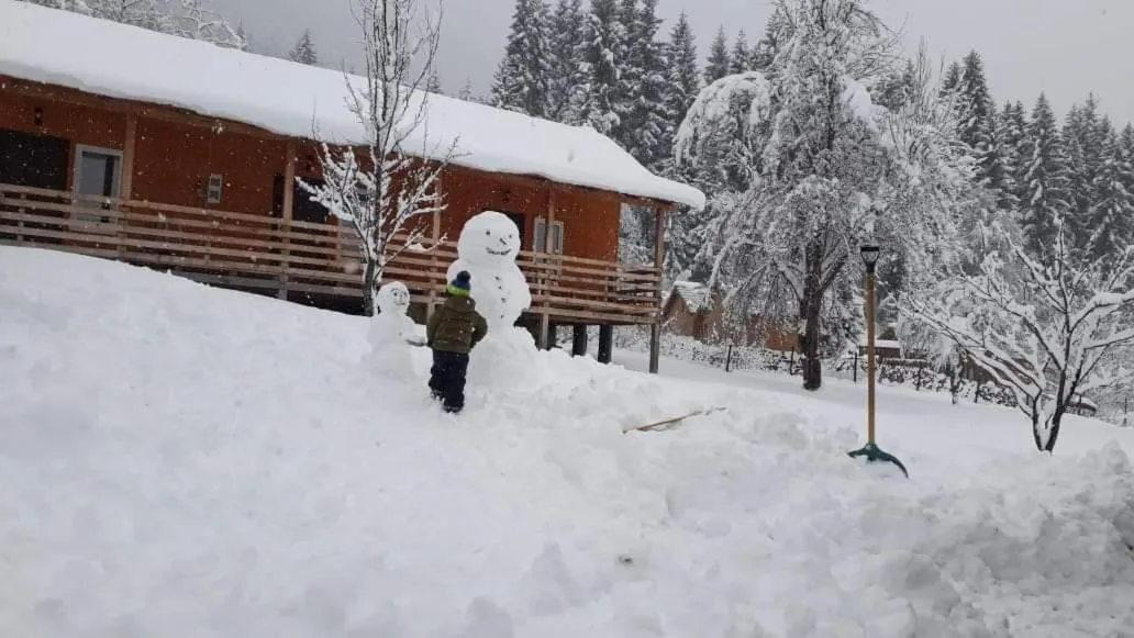 Cottage Shgedi