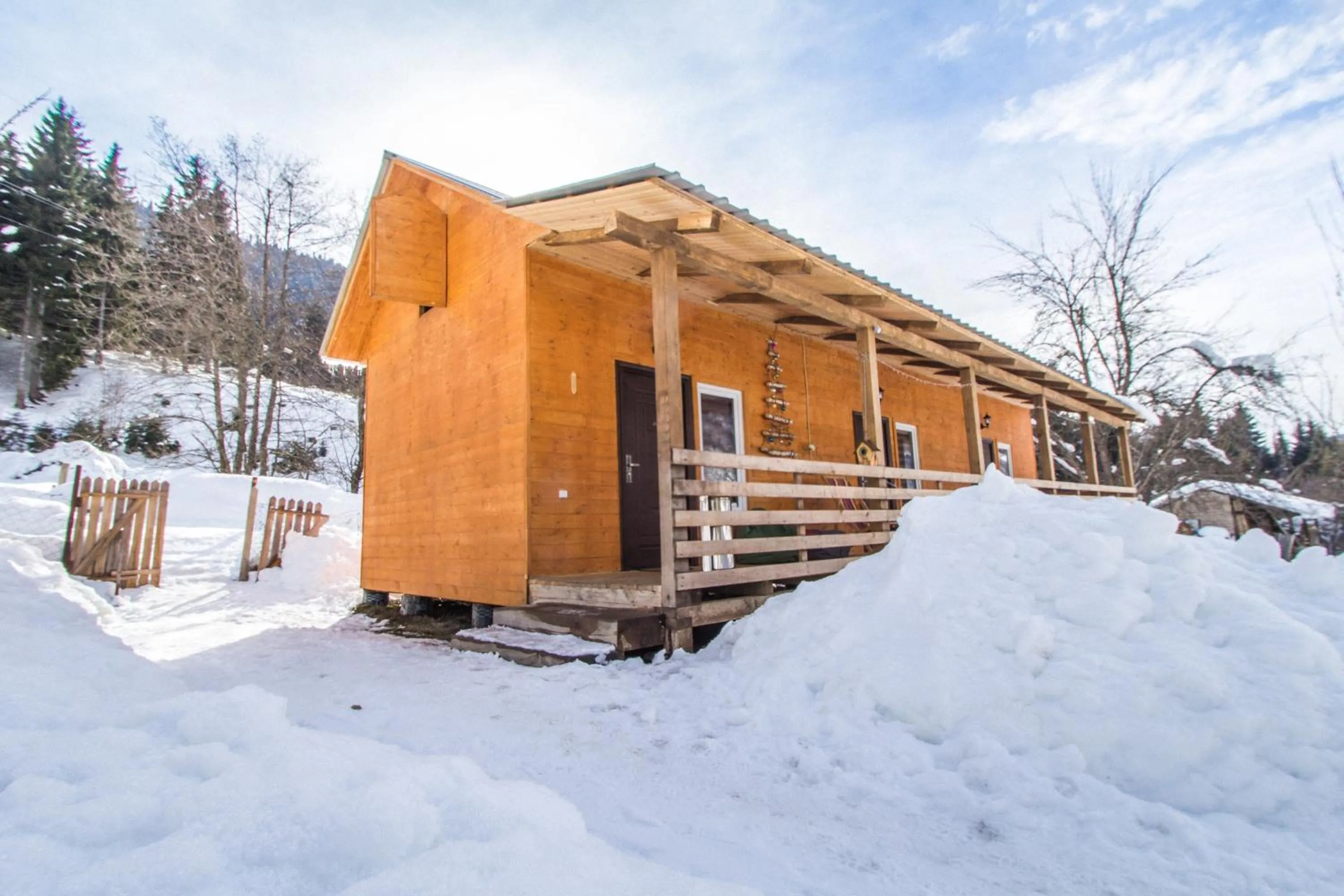 Cottage Shgedi