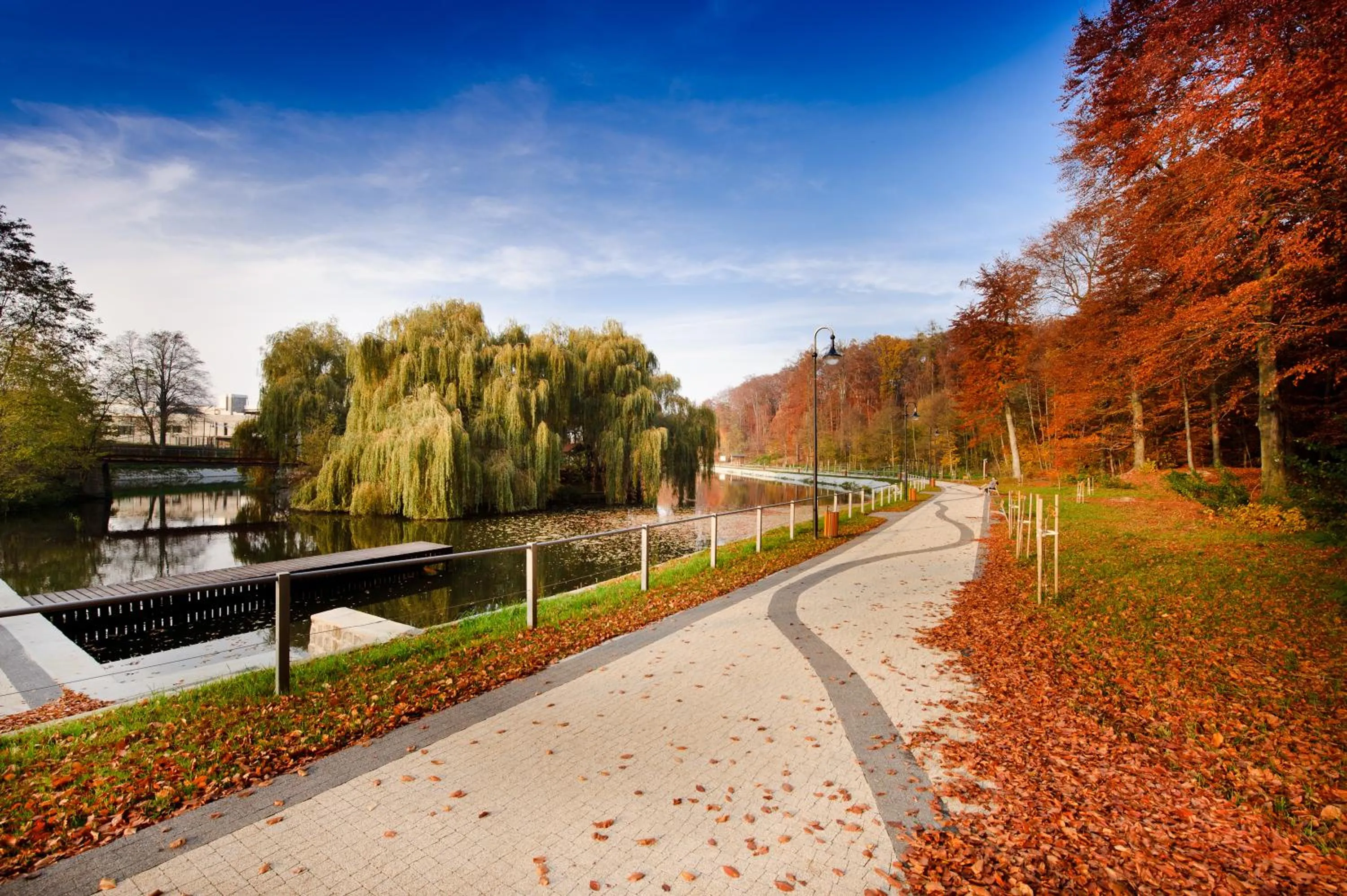Area and facilities in Hotel Trzebnica
