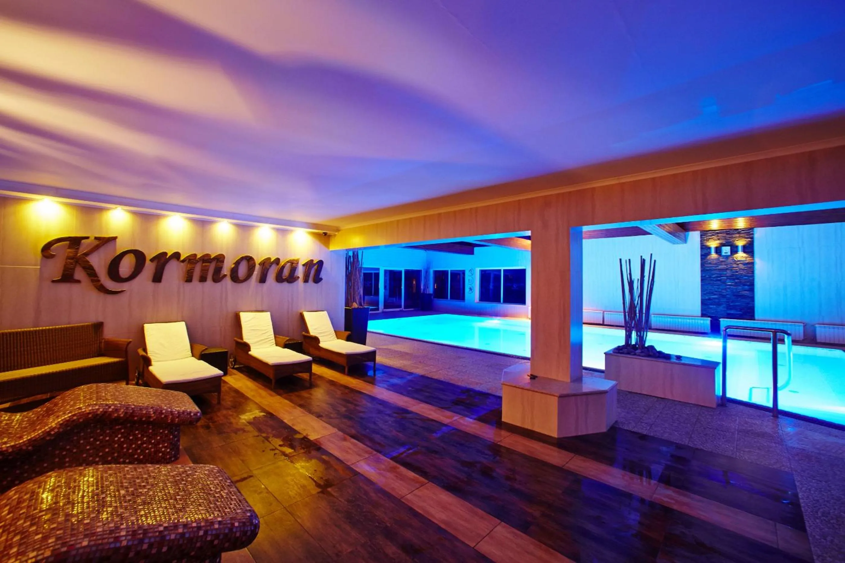 Swimming pool in Kormoran Medispa