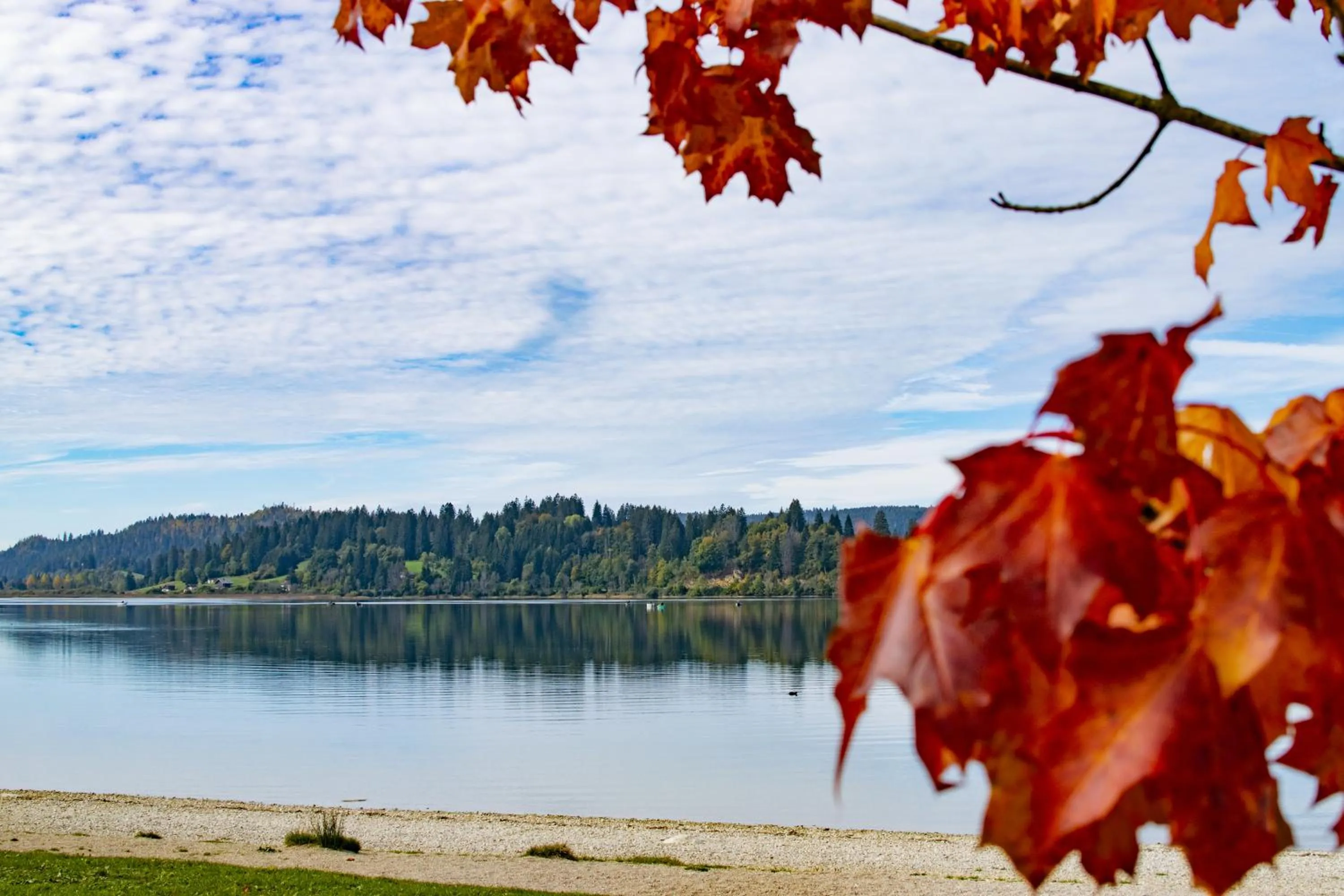 Off site in Hôtel-Restaurant Le Lac