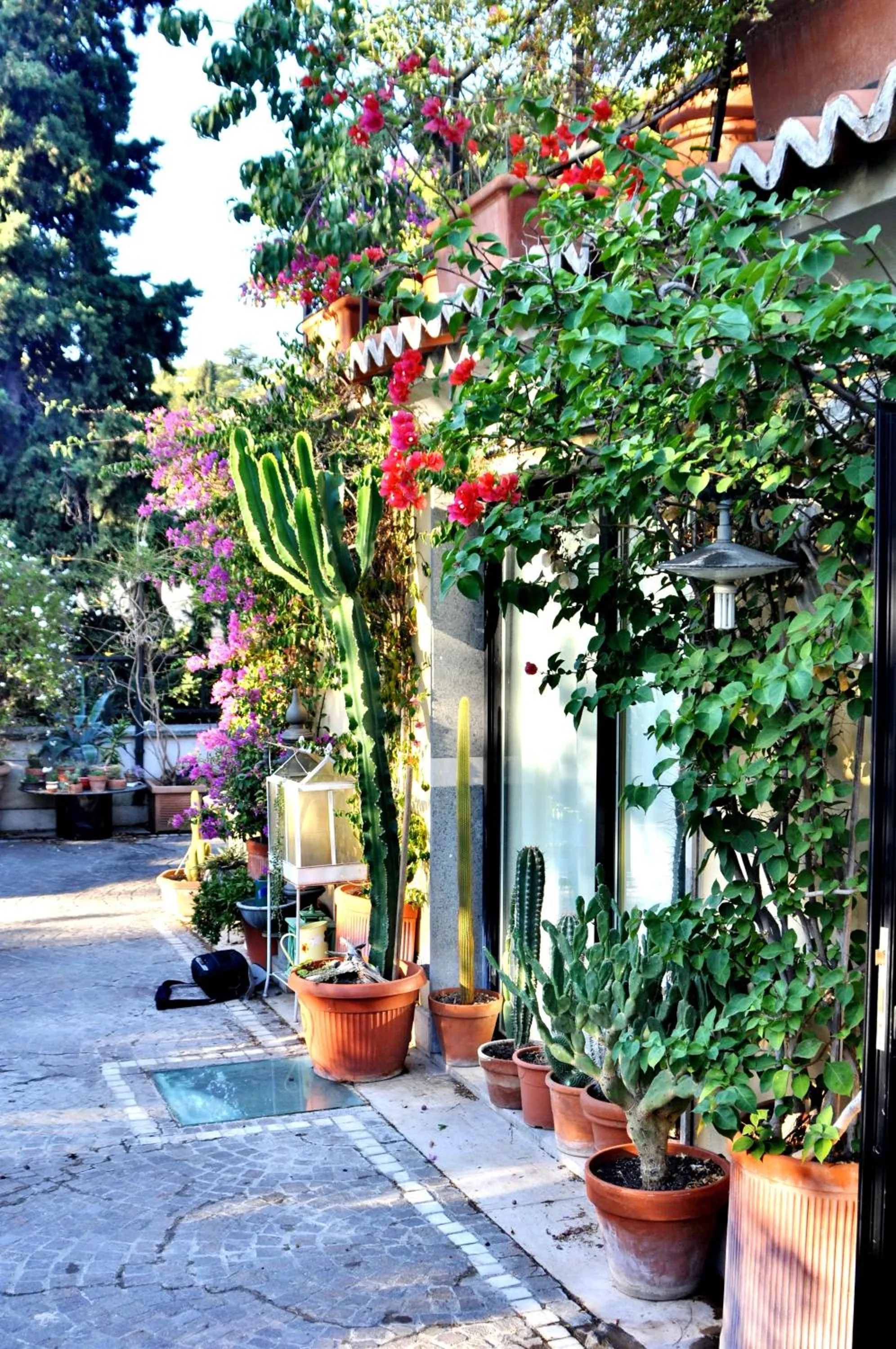 Spring, Property Building in Il Boom B&B