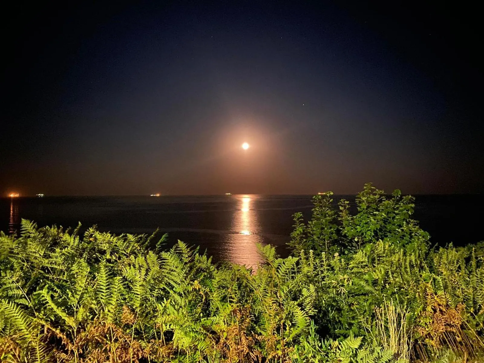 Night in Foxhills of Shanklin