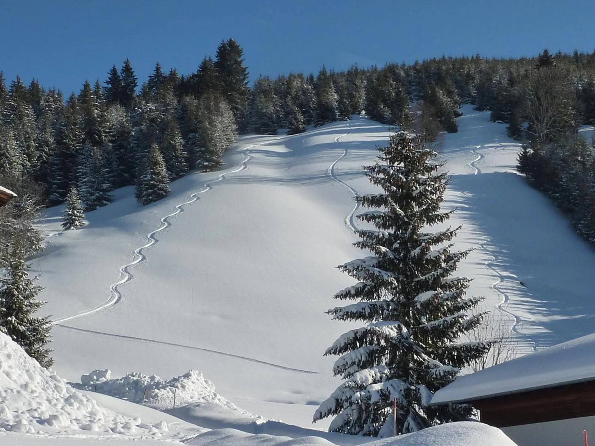 Winter in Ferienwohnungen Durst Roswitha