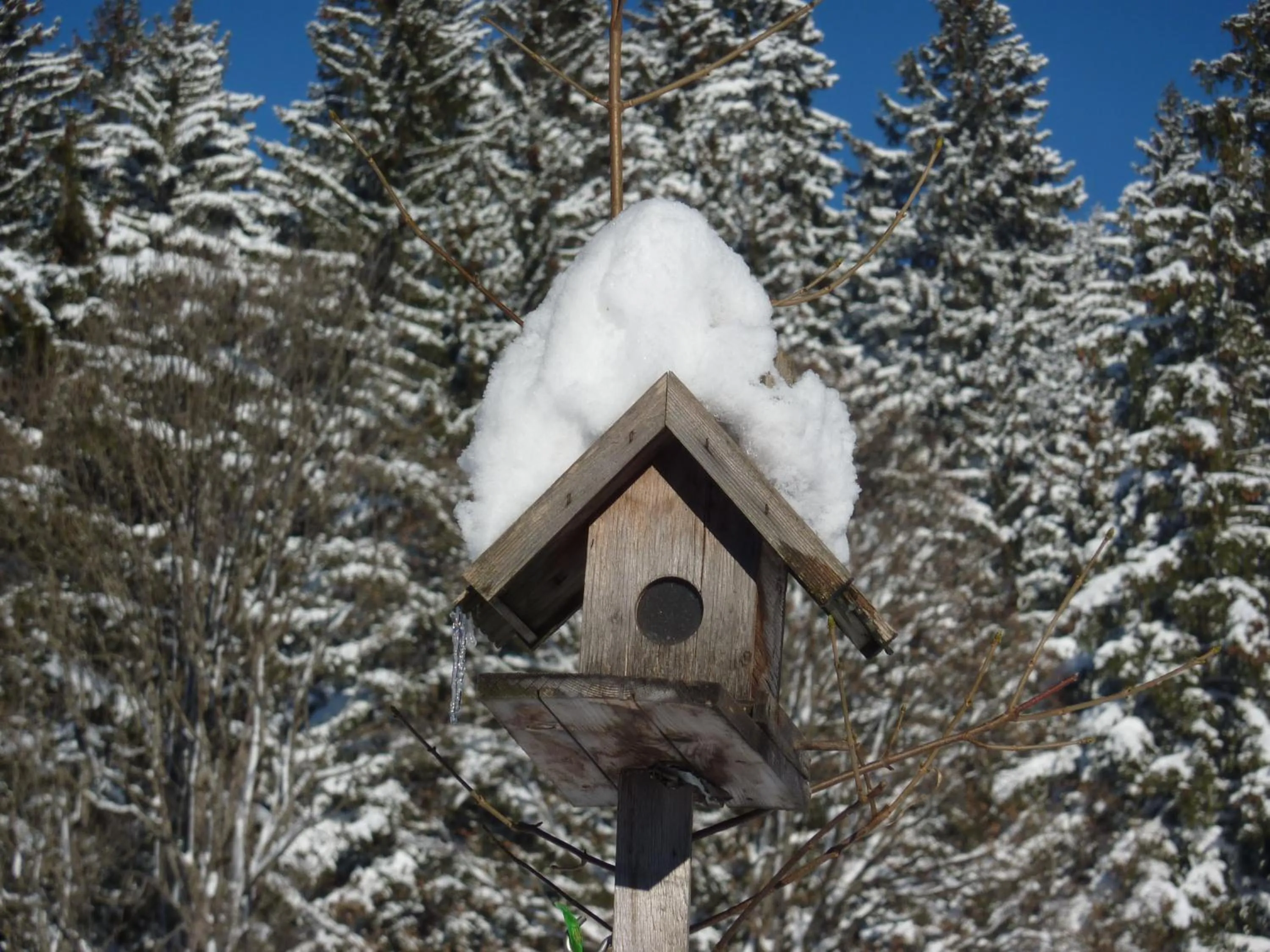 Winter in Ferienwohnungen Durst Roswitha