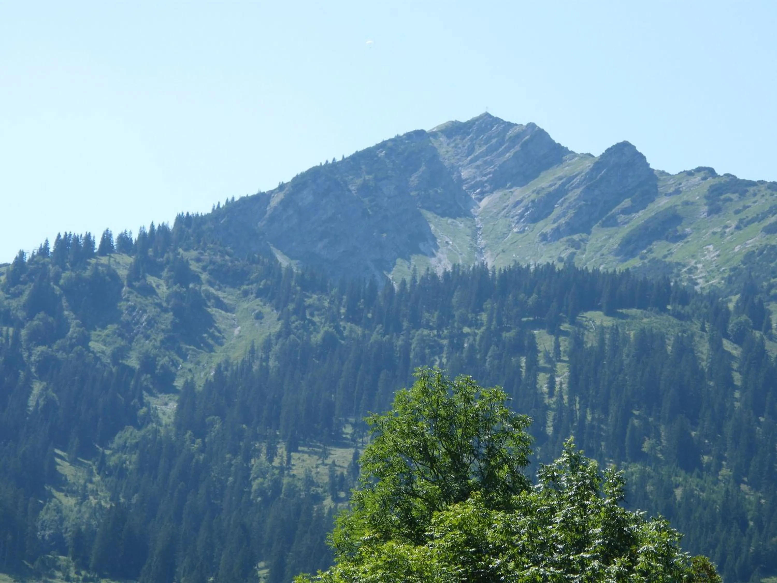 Natural landscape in Ferienwohnungen Durst Roswitha