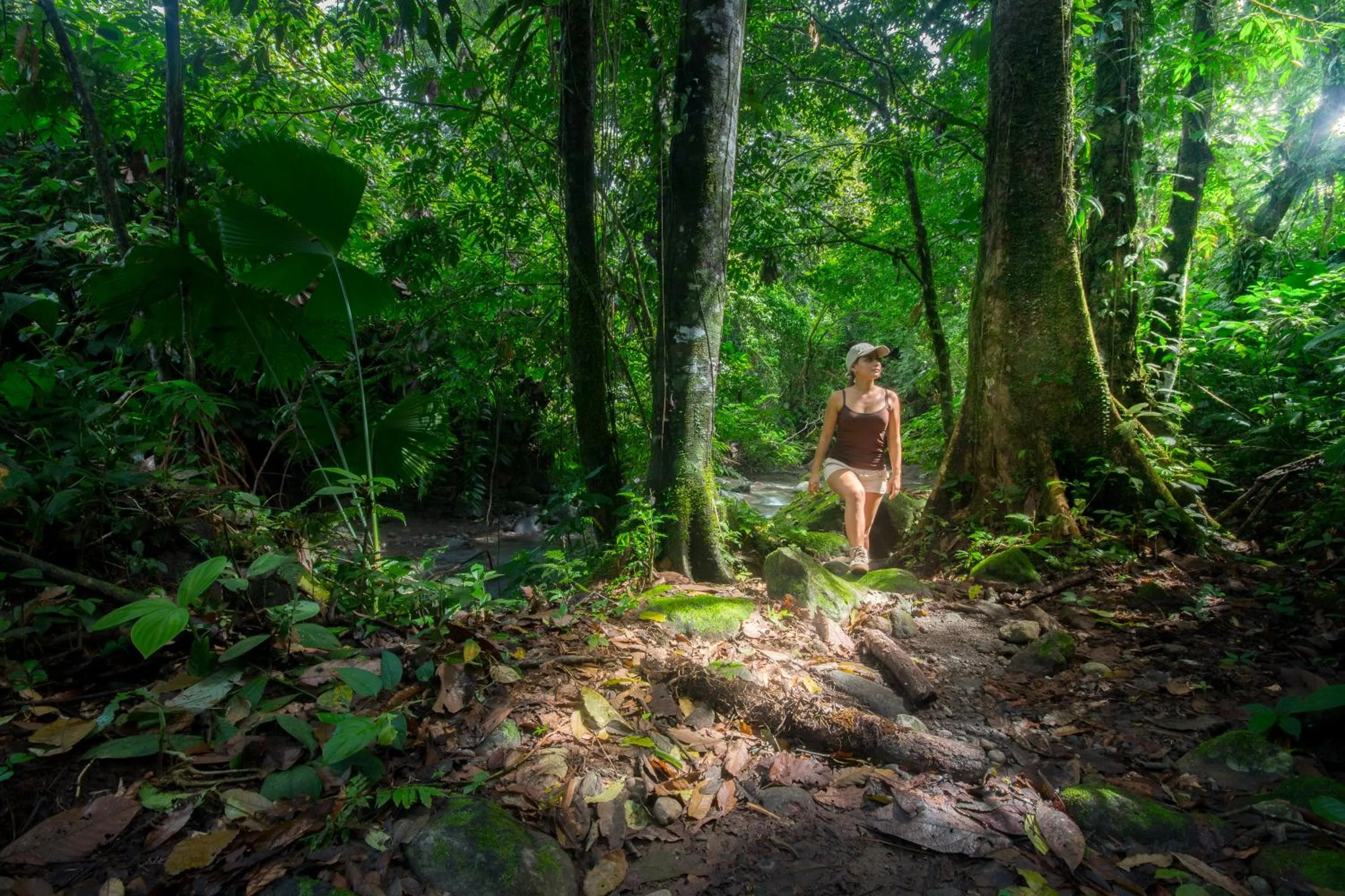 Garden in Casa Luna Hotel & Spa