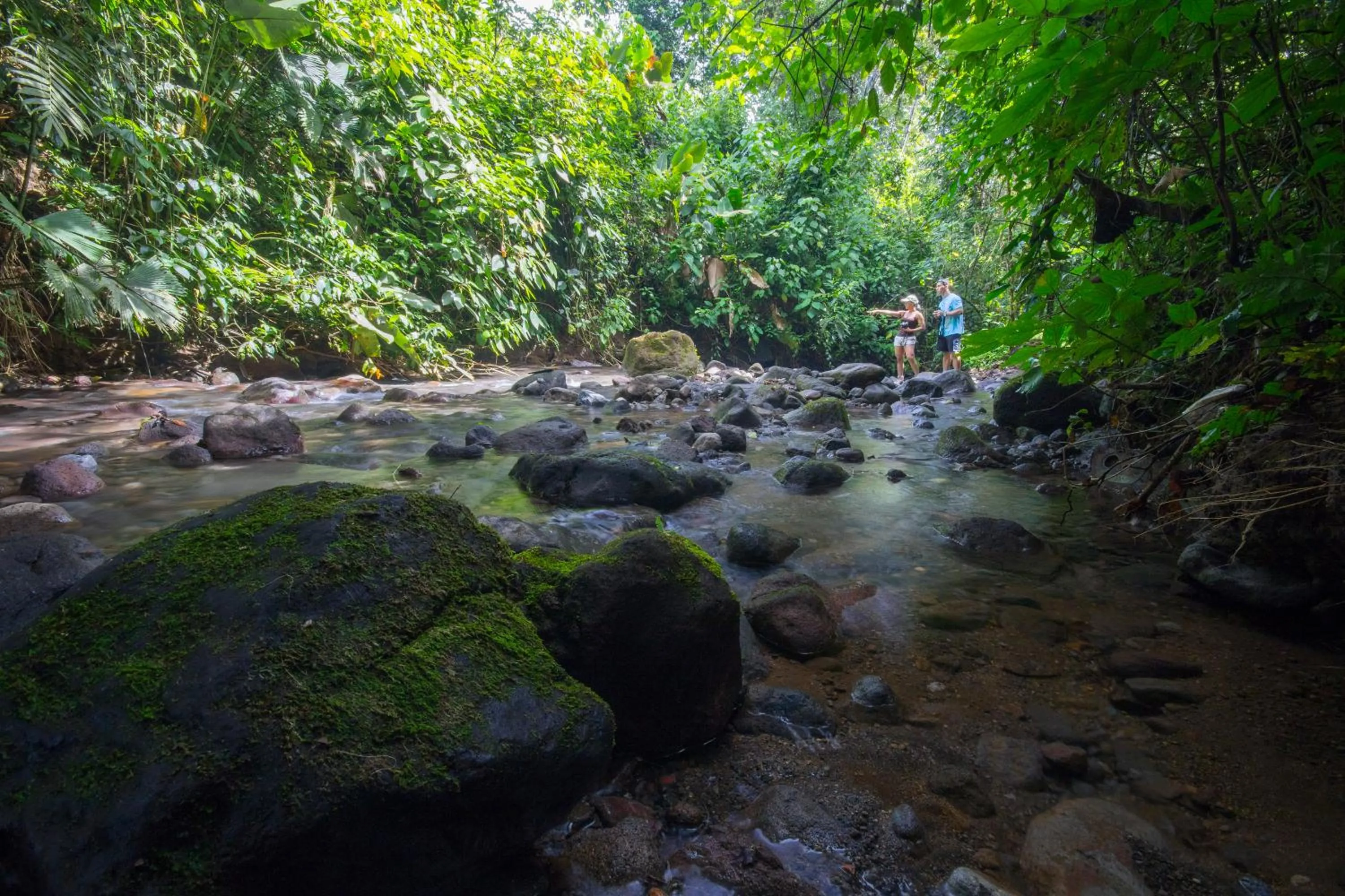 Garden in Casa Luna Hotel & Spa