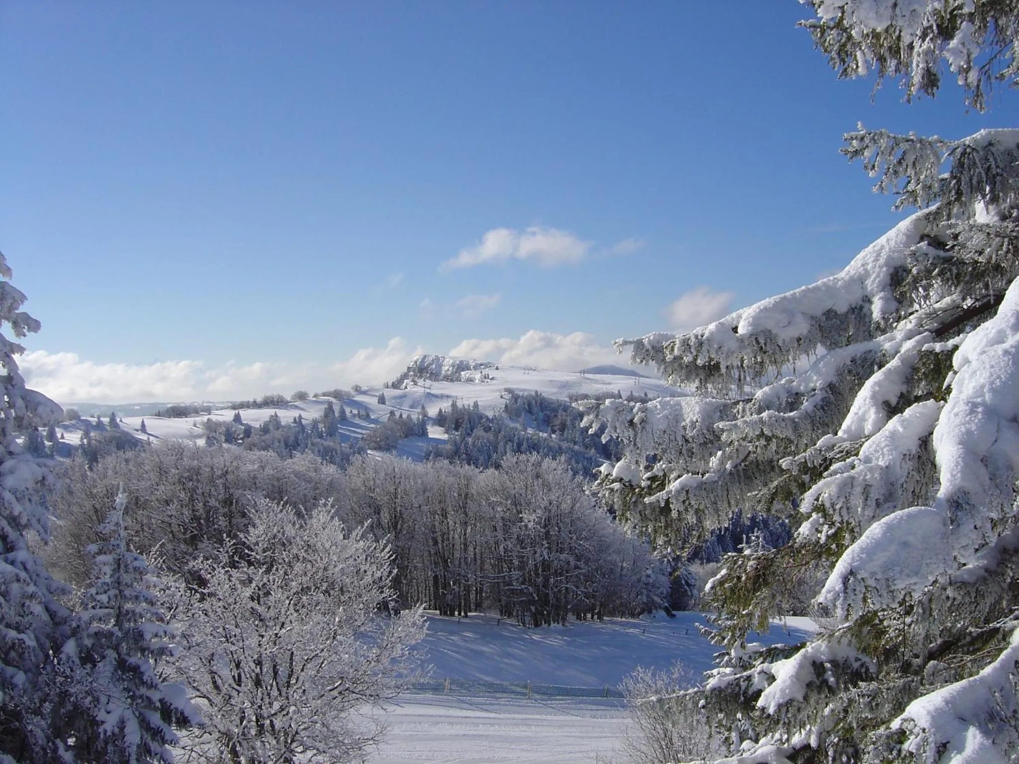 Natural landscape in Hôtel Beau Site